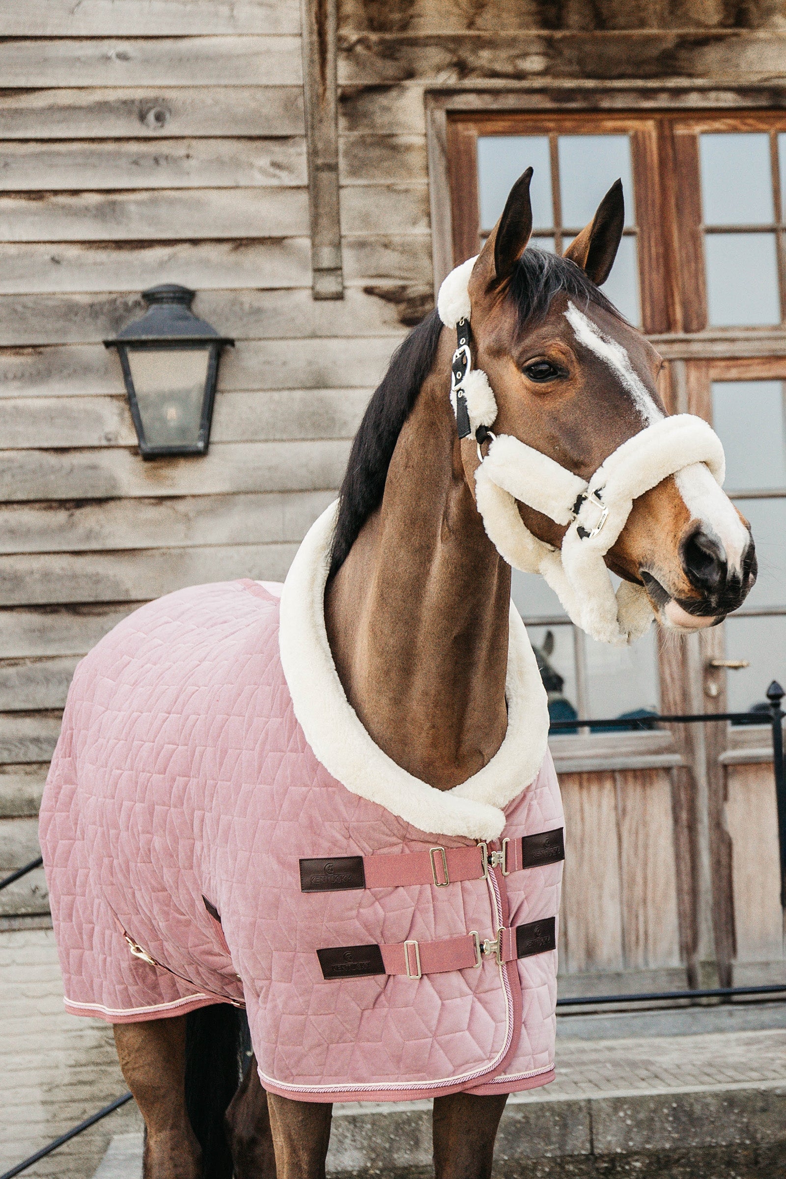 Kentucky Horsewear Aksamitna derka na zawody Kentucky Velvet, 160 g Derki
