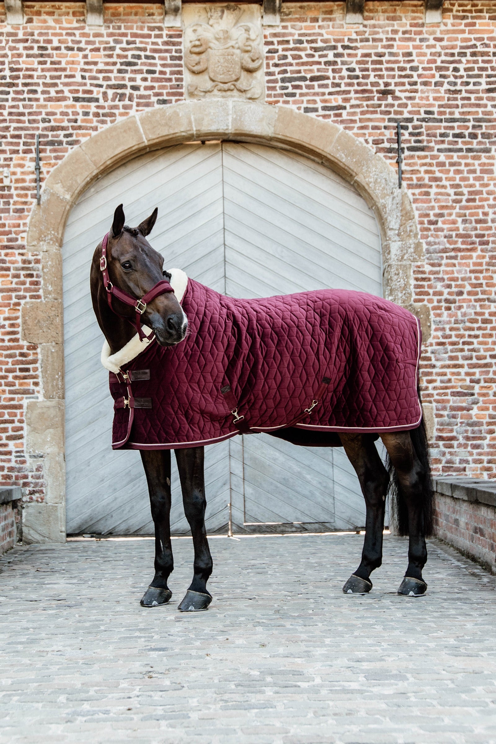 Kentucky Horsewear Aksamitna derka na zawody Velvet, 160 g Derki