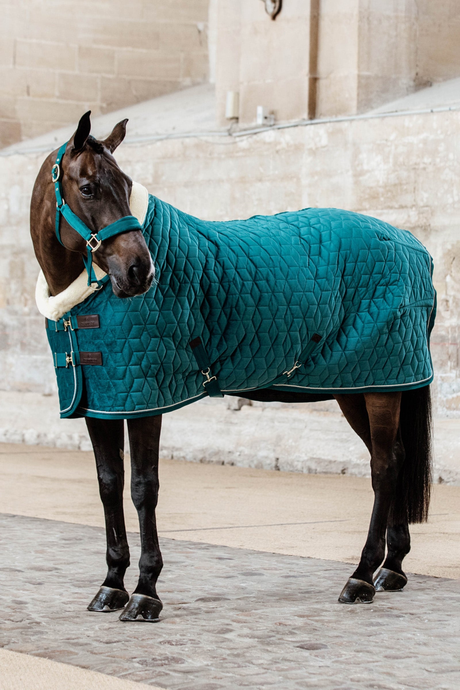 Kentucky Horsewear Velvet Show Rug, 160g Horse Rugs