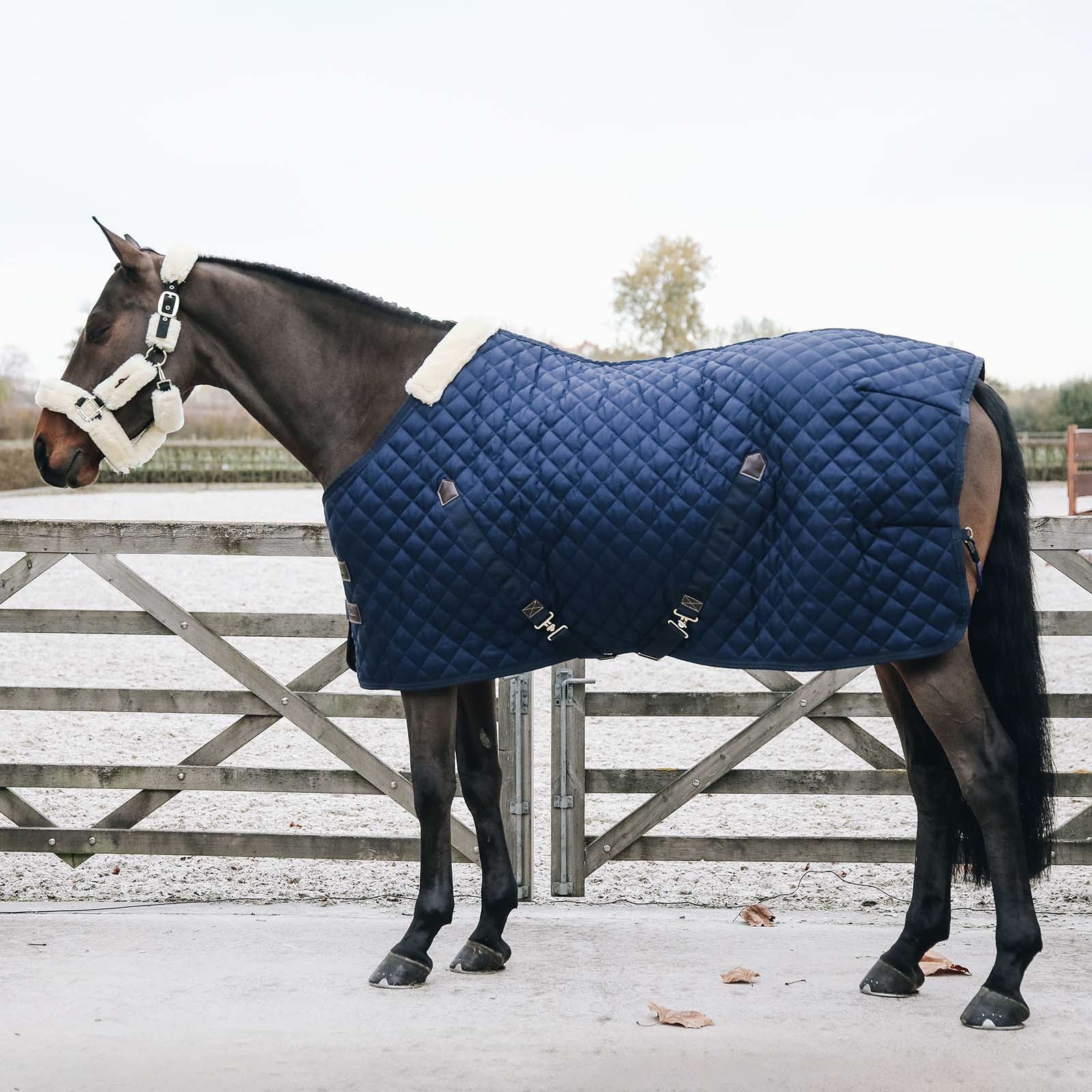 Kentucky Horsewear Stable Rug, 200g Horse Rugs