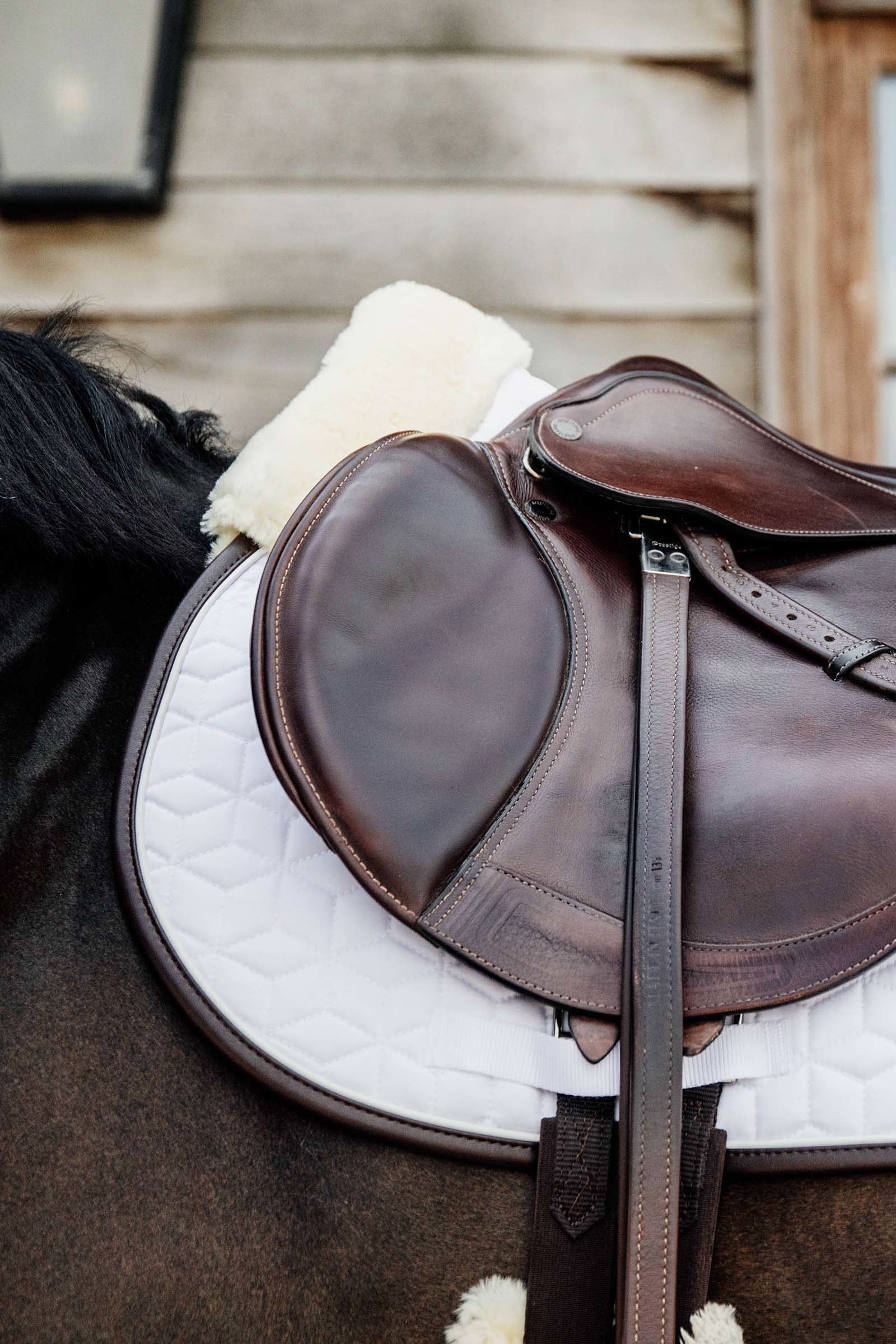 Kentucky Horsewear Skin Friendly Jumping Saddle Pad Saddle Pads