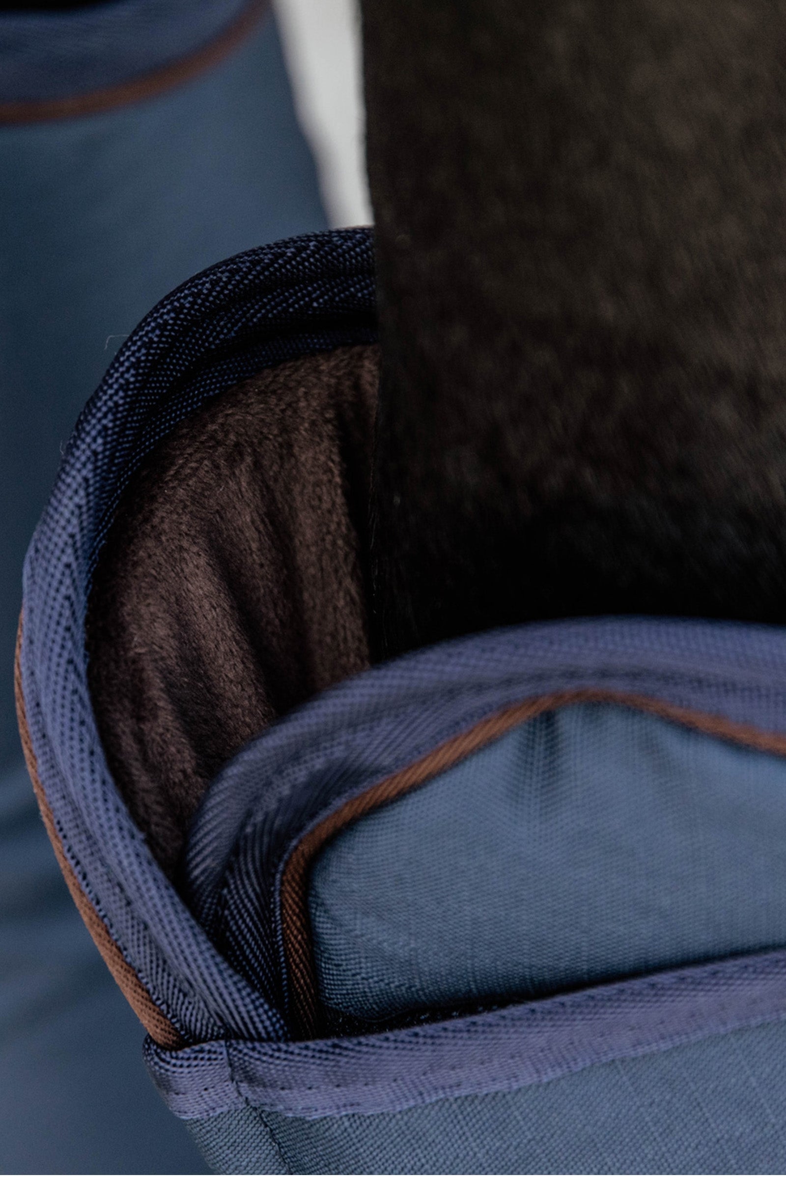 Kentucky Horsewear Travel Boots Leg Protection & Hoof Protection for Horses