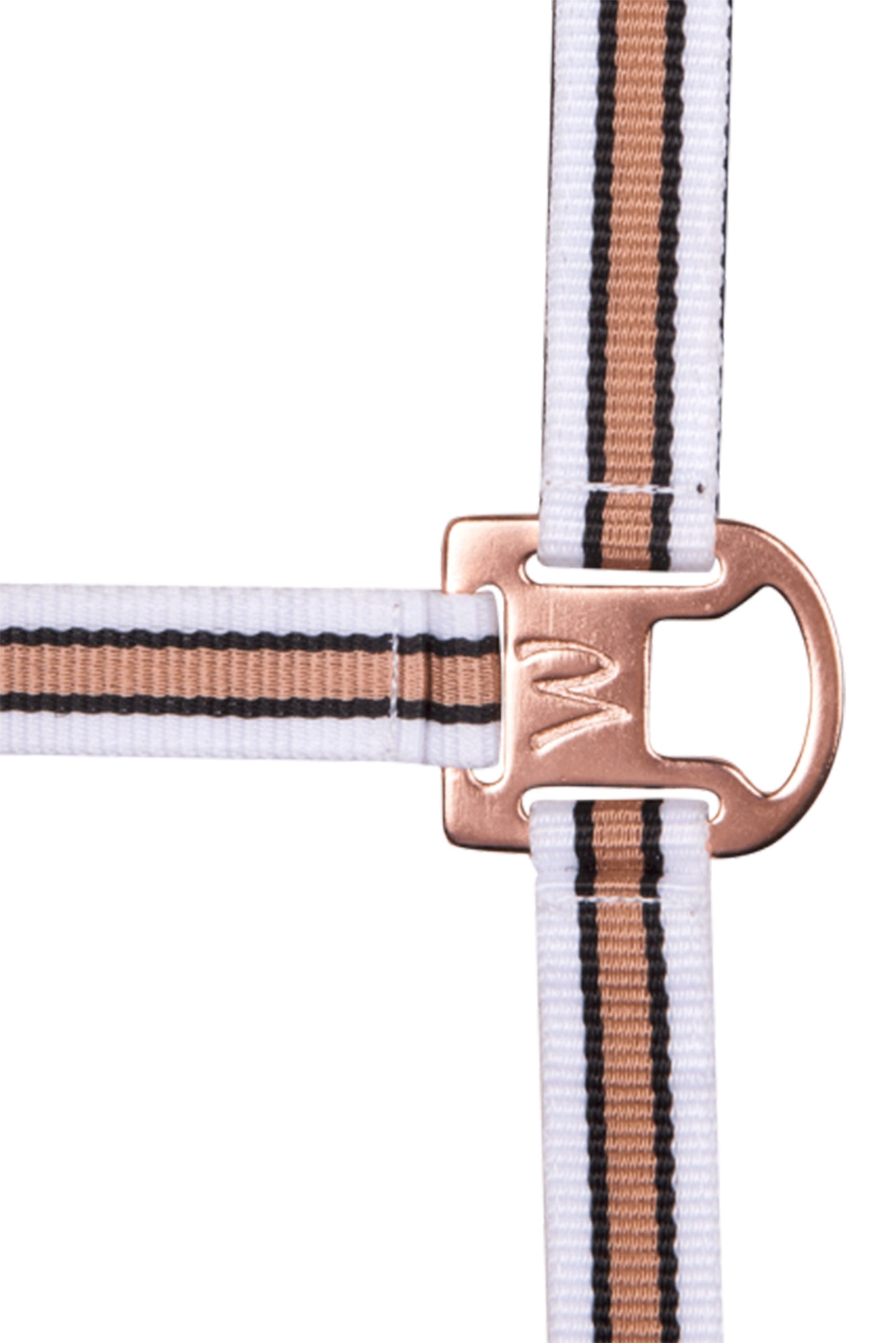 Waldhausen Shine Halter Halters & Leads