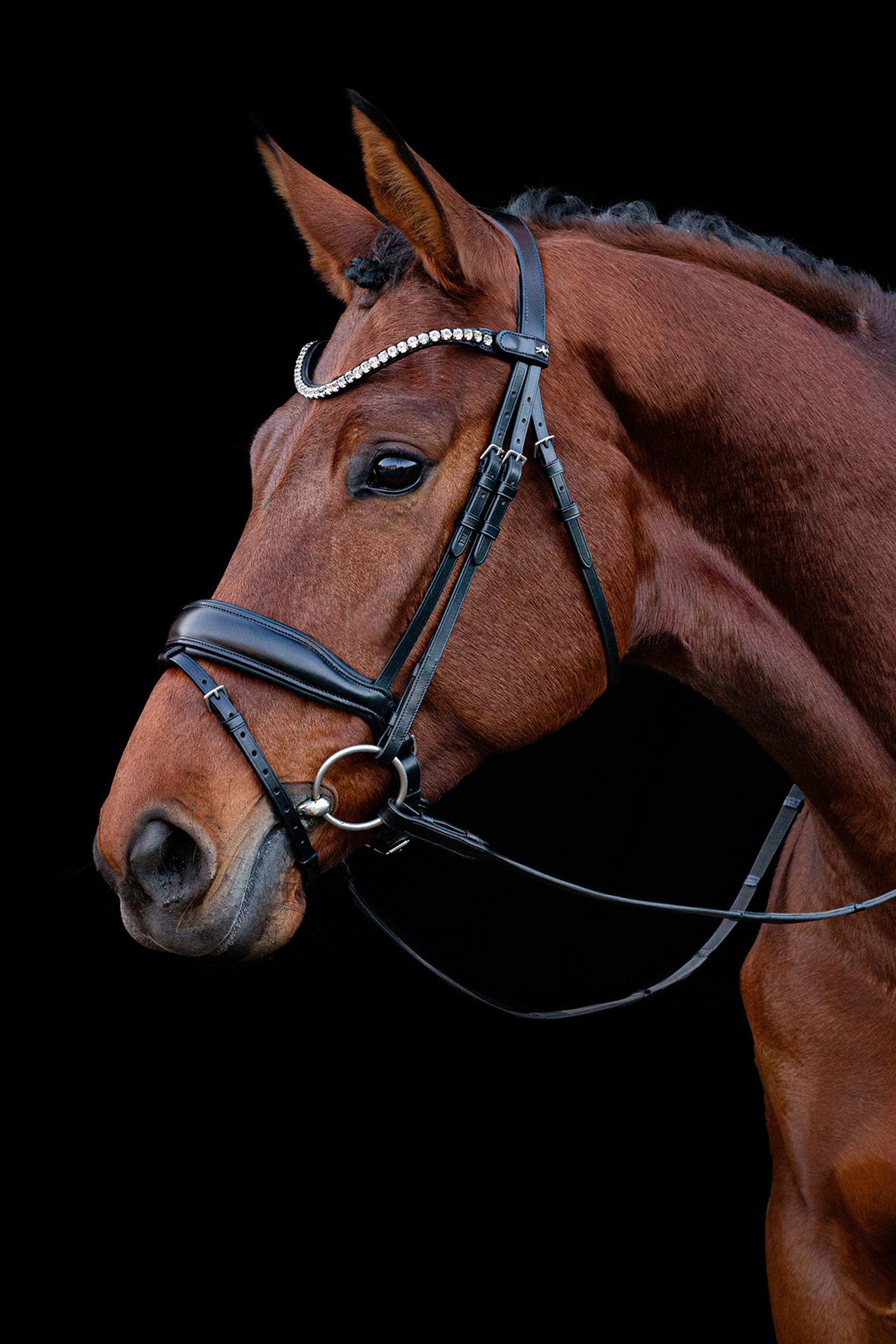 Schockemöhle Sports Siena Bridle Bridles & Reins