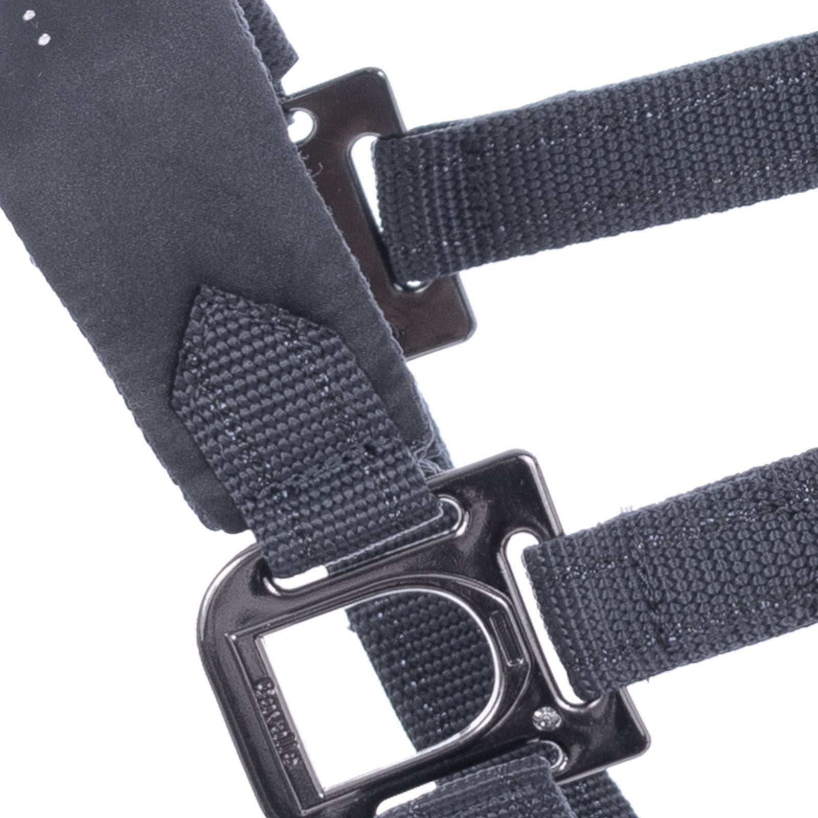 Cavallo CAVALHALLONA Halter Halters & Leads