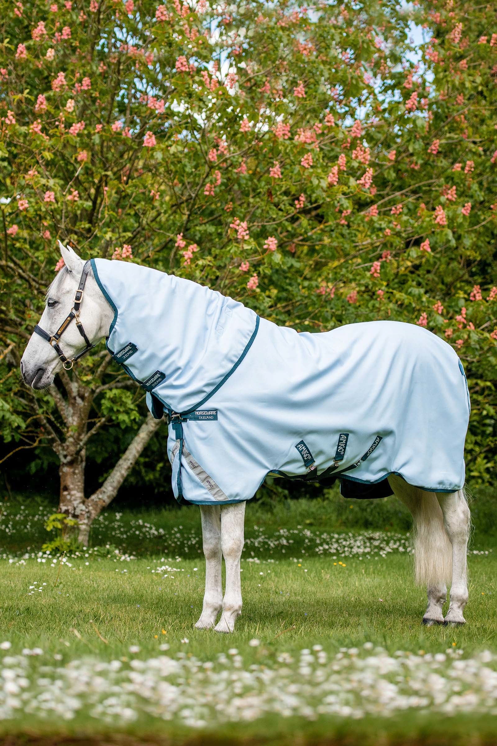 Horseware Amigo Plant Dye Derka padokowa farbowana barwnikami pochodzenia roślinnego, 50g Derki