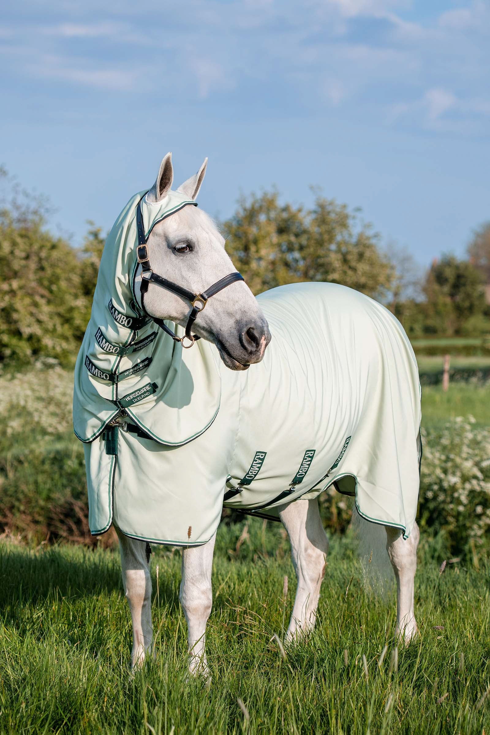 Horseware Rambo Derka z kapturem XL Derki