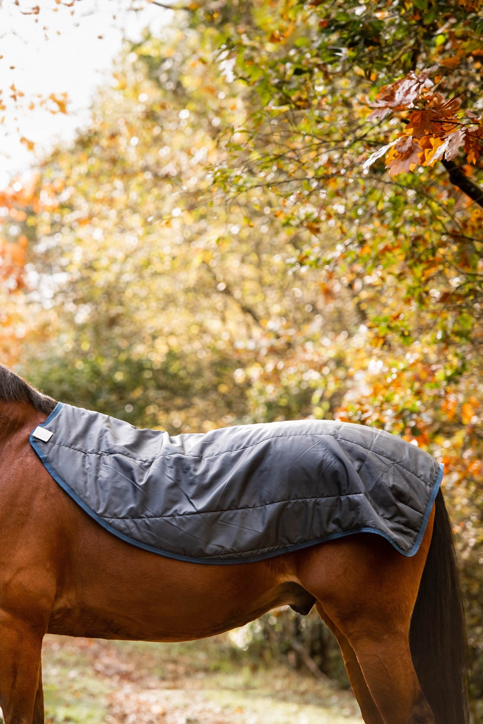 Horseware Rambo Autumn Series Turnout Rug With Liner (0g / 100g) Horse Rugs