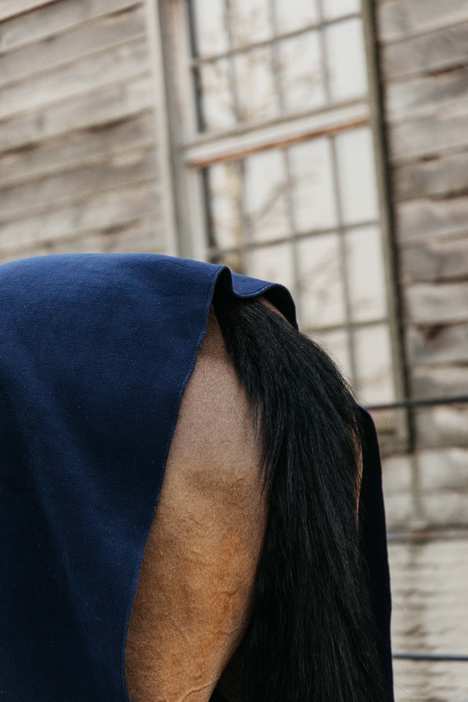 Kentucky Horsewear Heavy Fleece Rug Horse Rugs