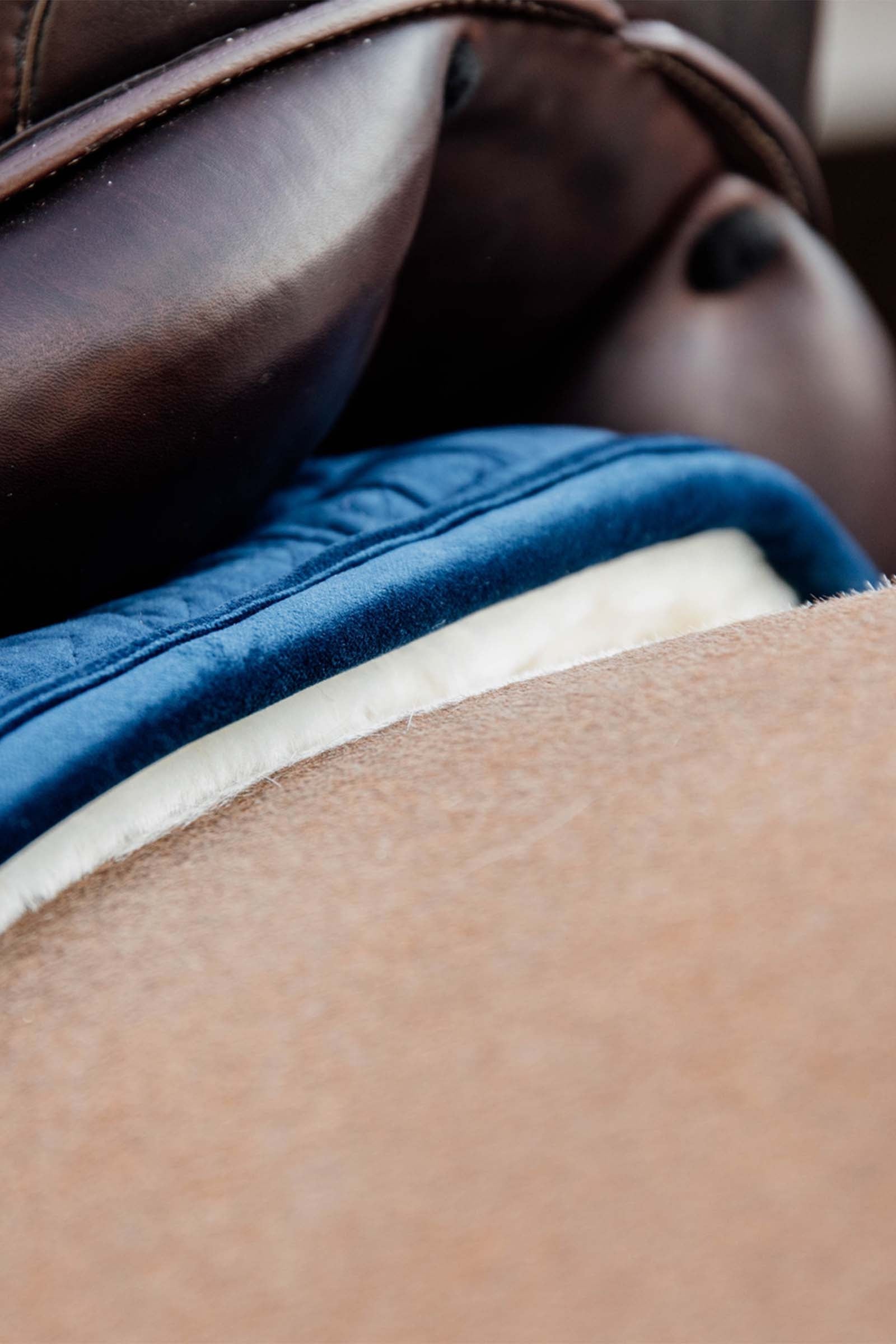 Kentucky Horsewear Velvet Skin Friendly Dressage Saddle pad Saddle Pads