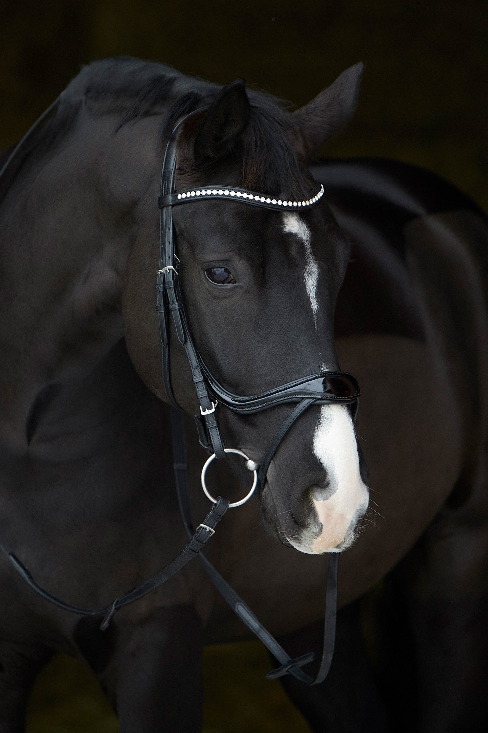 Kieffer Ultrasoft® Amy Shine Bridle Bridles & Reins