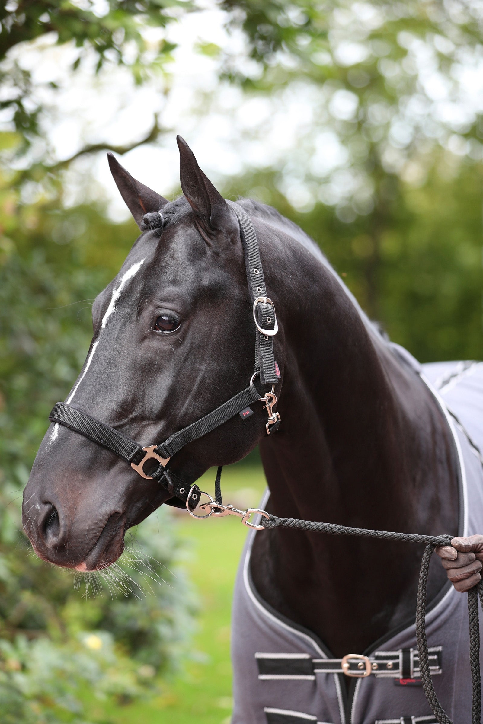 Covalliero Dexter Kantar z polarowym podszyciem Kantary i uwiązy