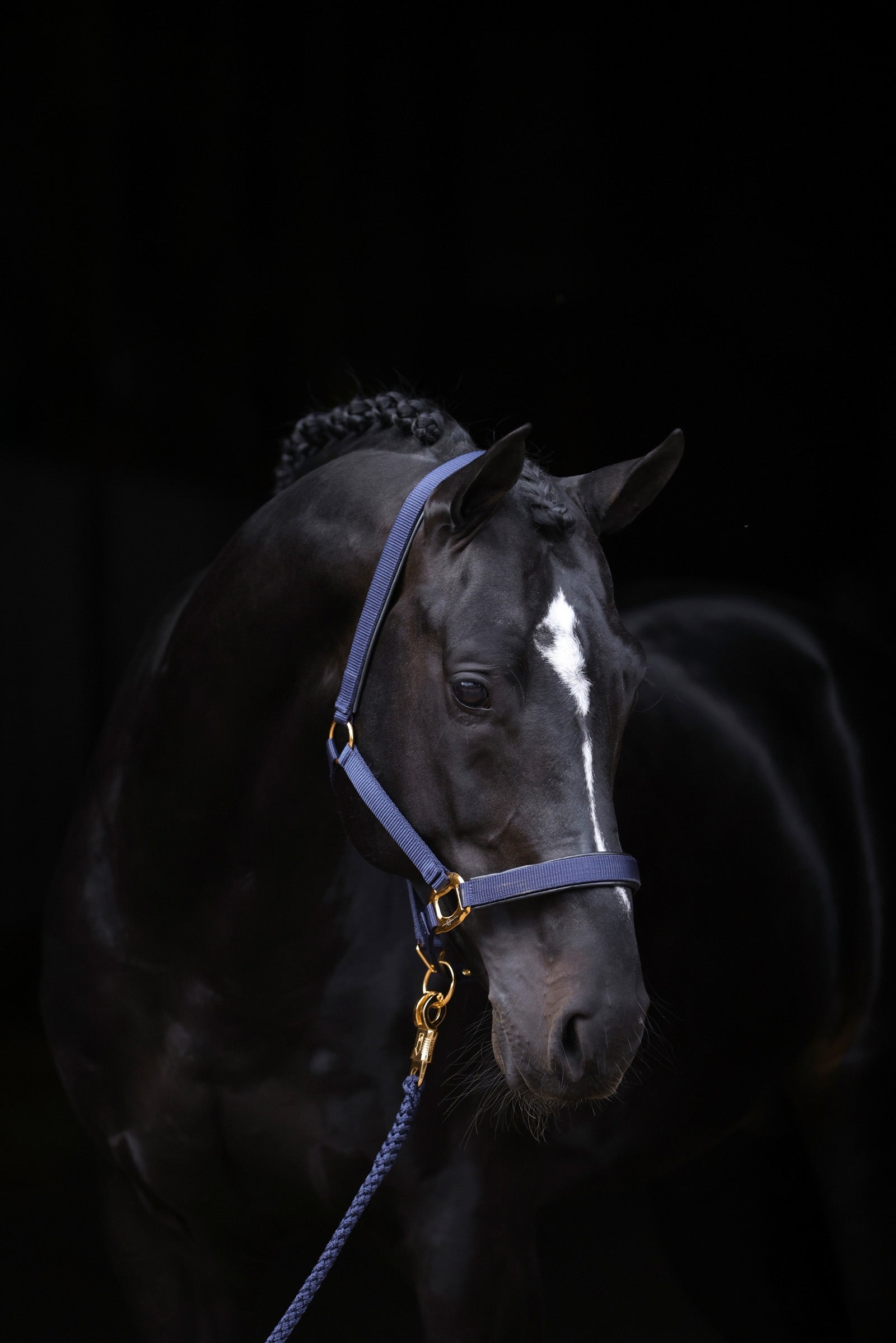 Covalliero TopLine Kantar Kantary i uwiązy