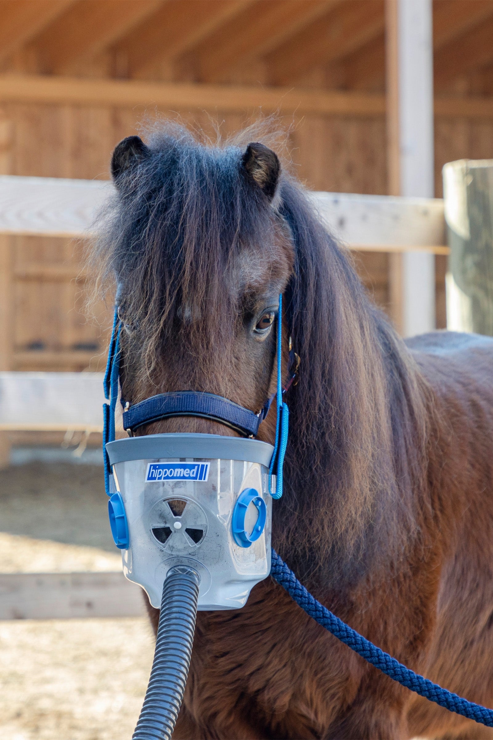 Hippomed Inhalation Mask incl. Accessories for AirOne, Shetland/Foal Horse Health Care