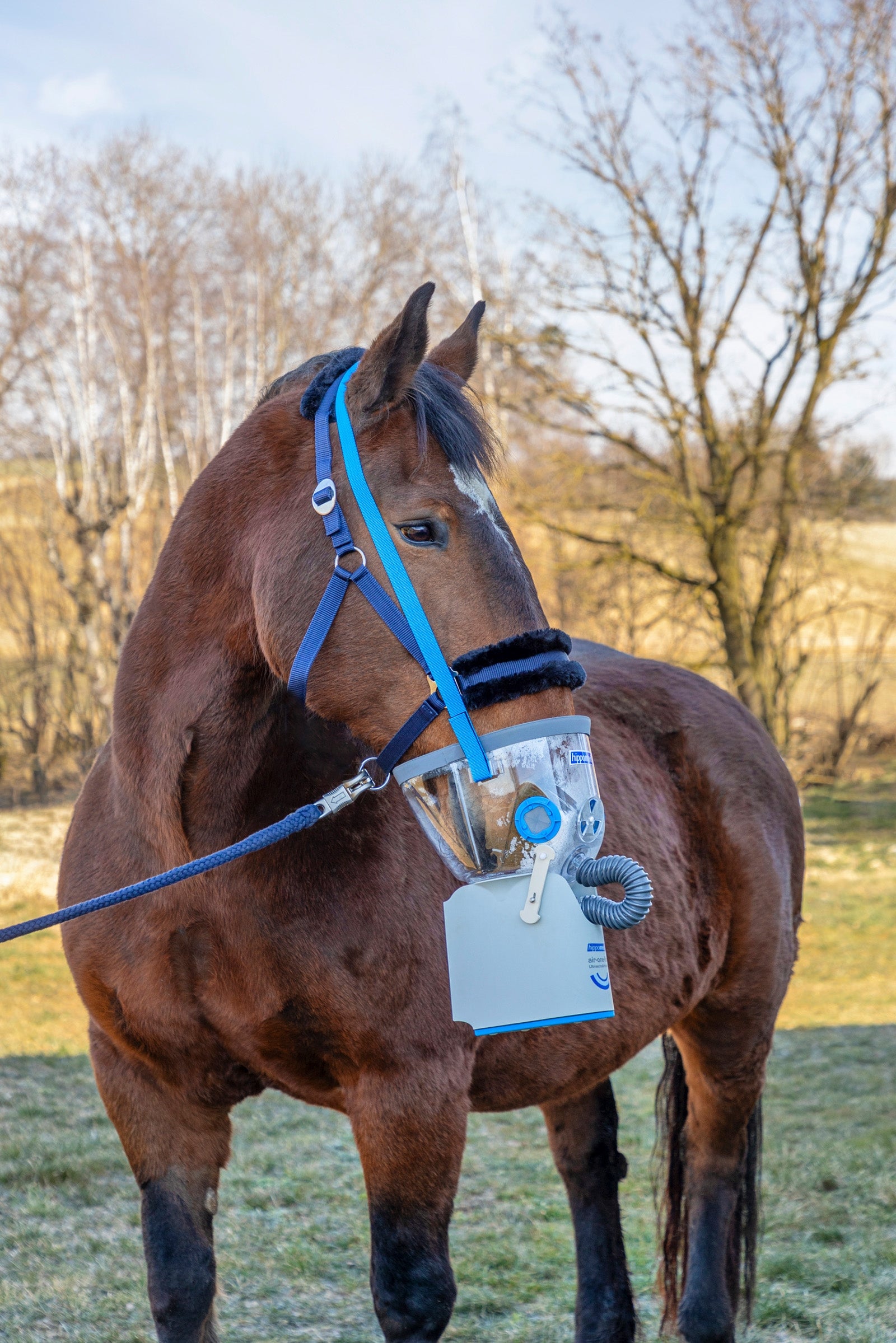 Hippomed Inhalation Mask incl. Accessories for Air One Flex, Draft Horse Health Care