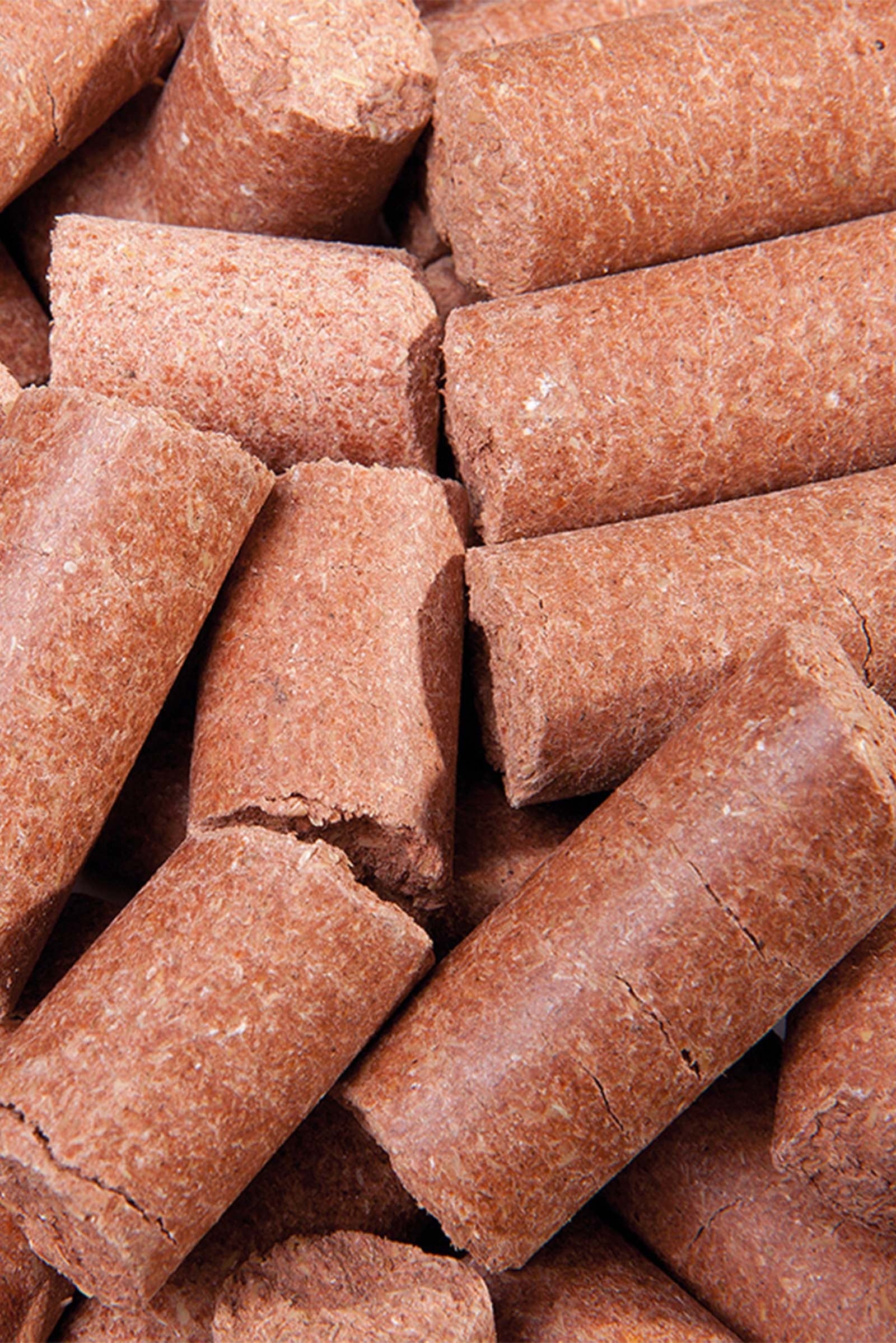 Speed Carrot Delicious Speedies, Treats, 1kg Horse Feed & Nutrition