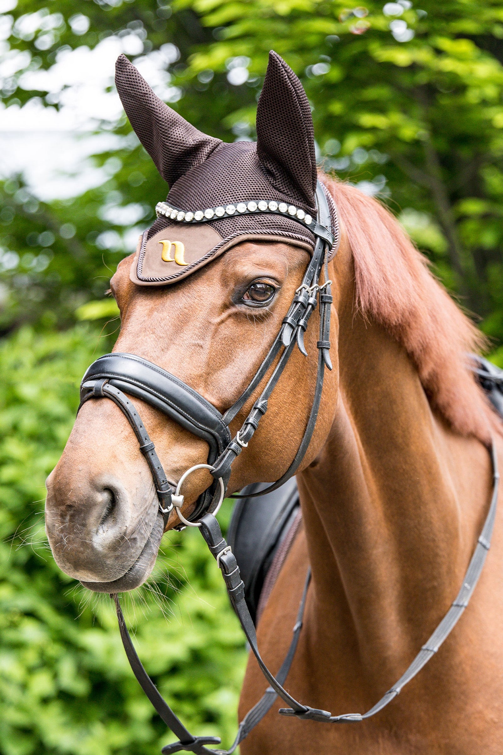 Back on Track Airflow Fly Hood Saddle Pads