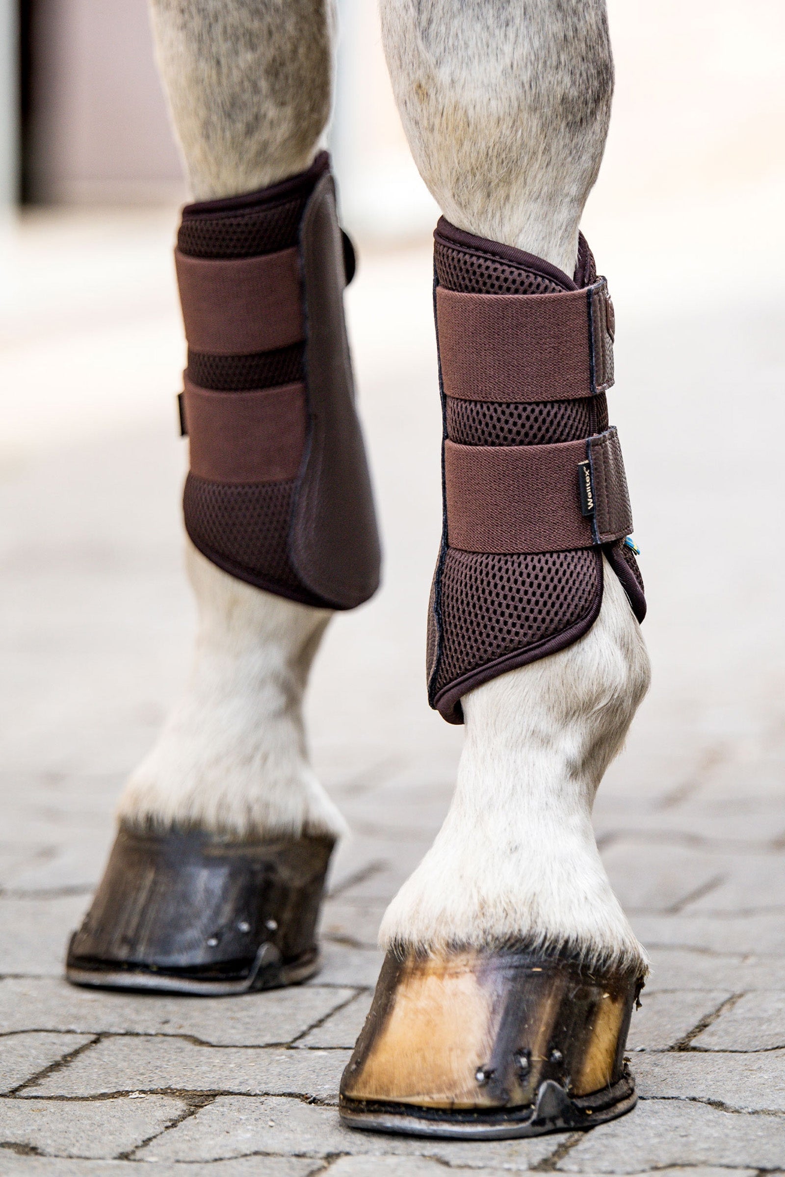 Back on Track Welltex® Airflow Brushing Boots Leg Protection & Hoof Protection for Horses