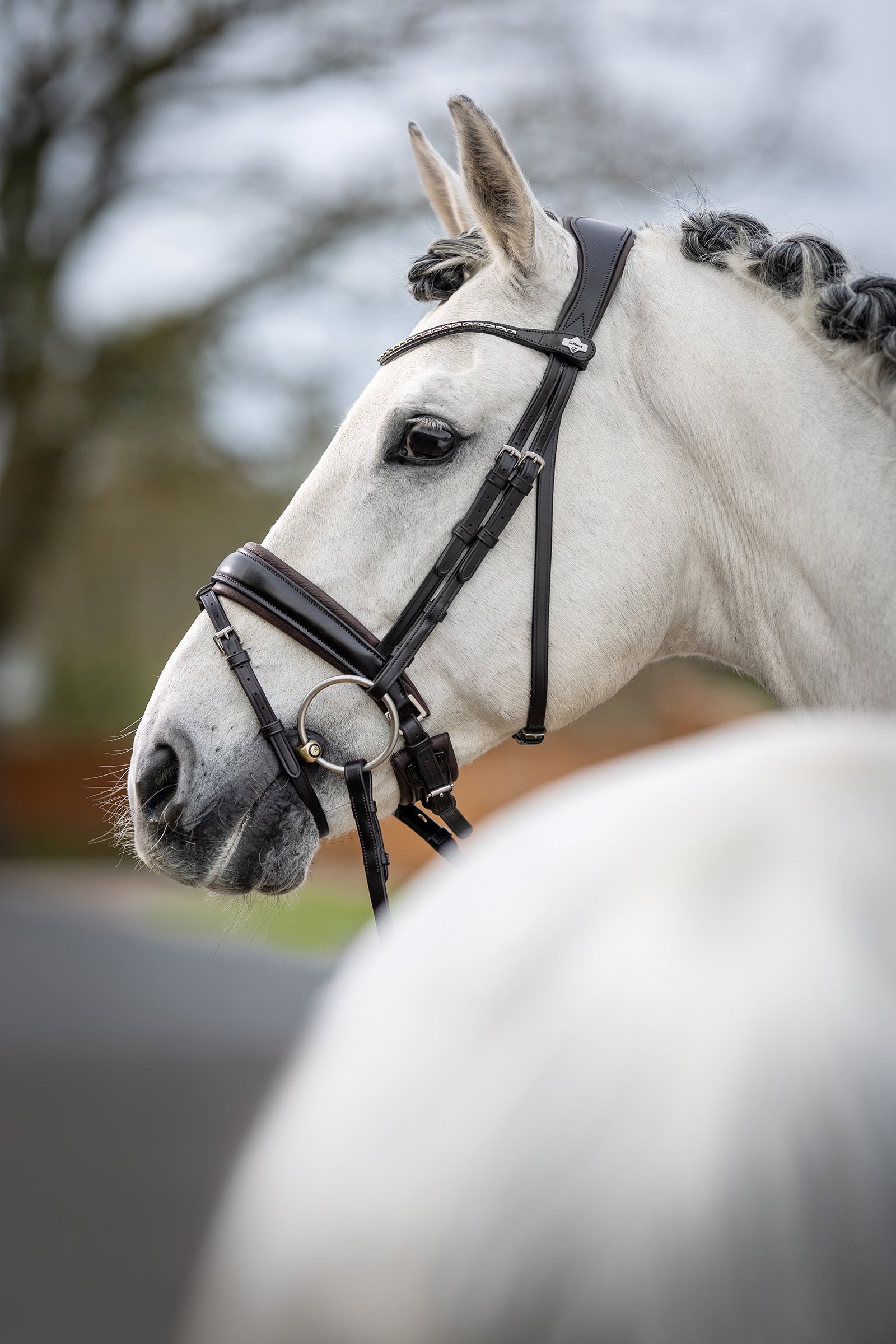 LeMieux Kudos Classic Dressage Bridle Bridles & Reins