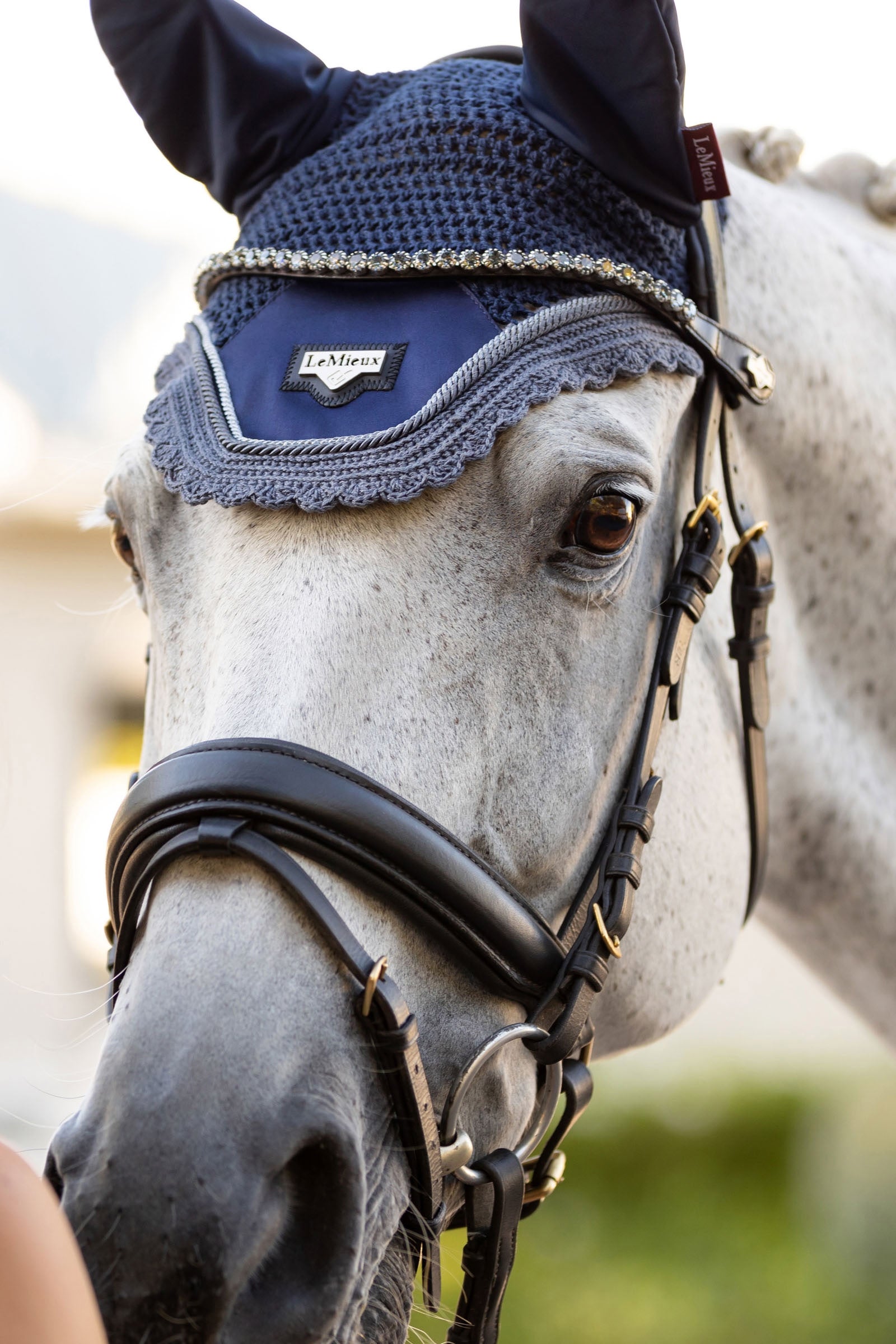 LeMieux Twilight Browband Bridles & Reins