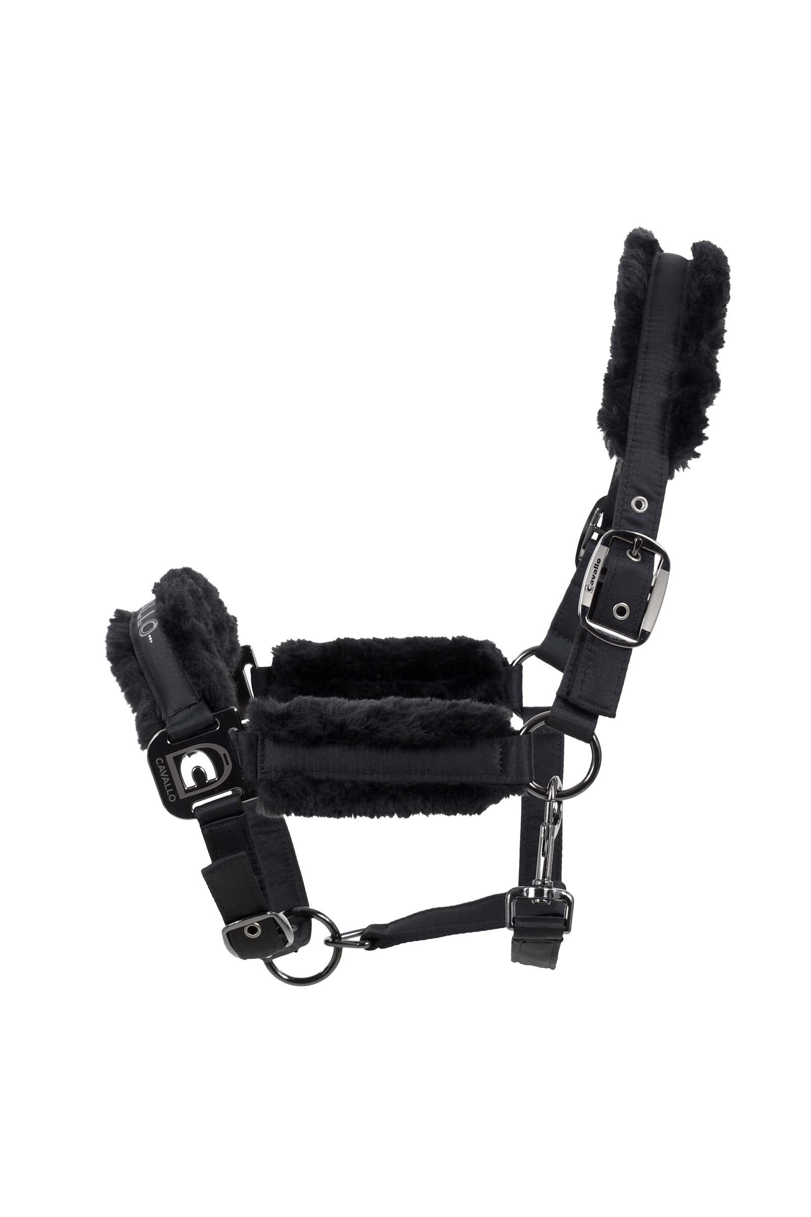 Cavallo CavalHafida Kantar Kantary i uwiązy