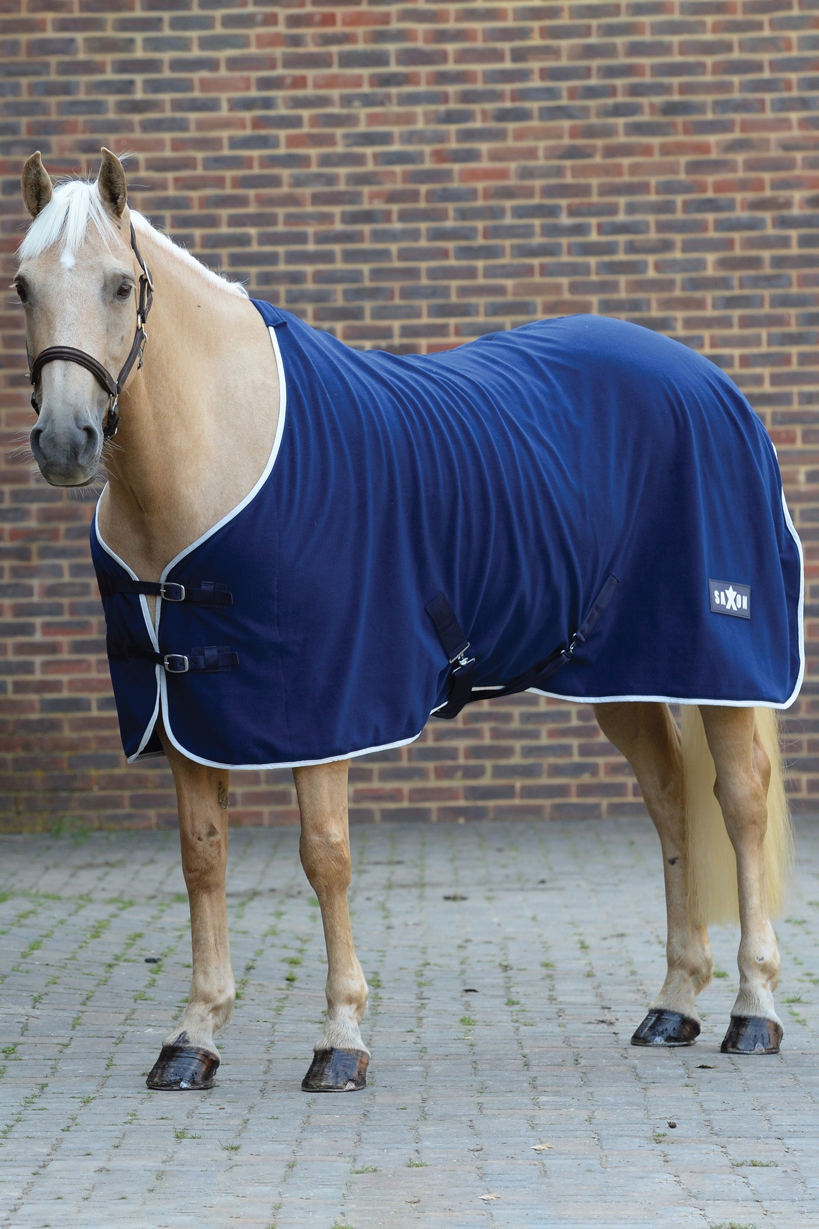 Saxon Derka polarowa Derki