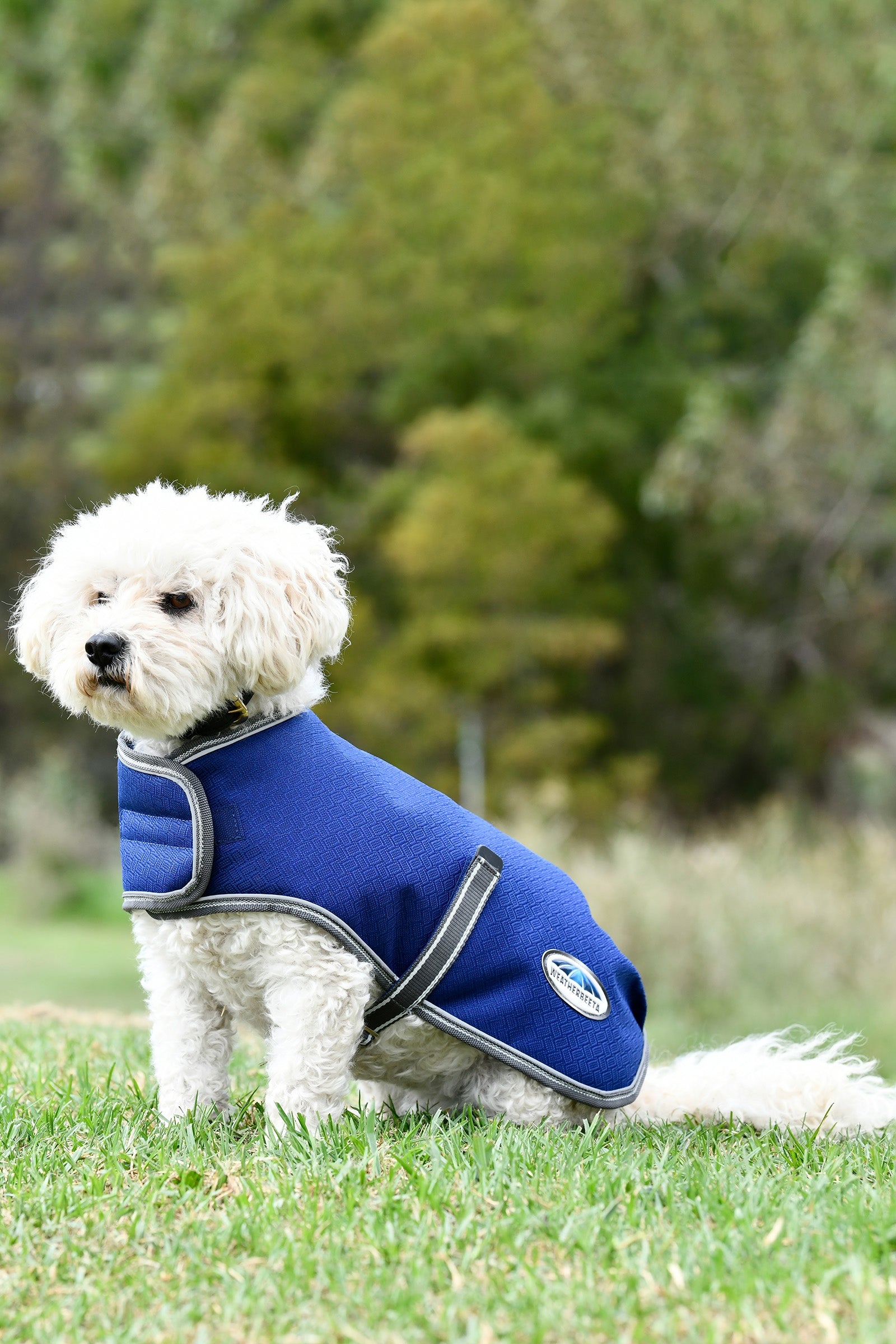 Weatherbeeta Comfitec Premier Free Parka Medium, Ubranko dla psa, 220g Pies