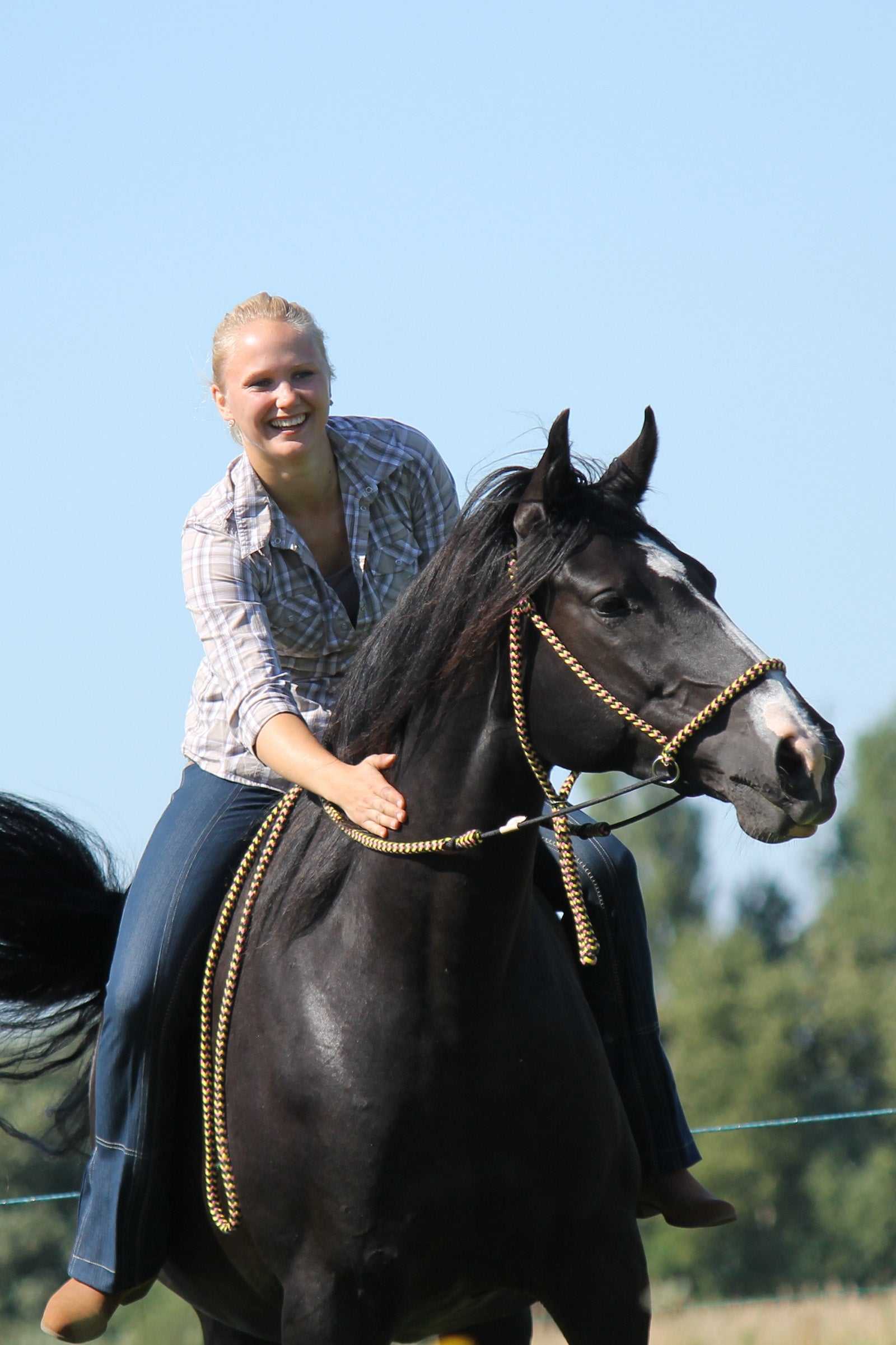 F.R.A. Freedom Riding Articles Igor Bitless Bridle (System 4) Bridles & Reins