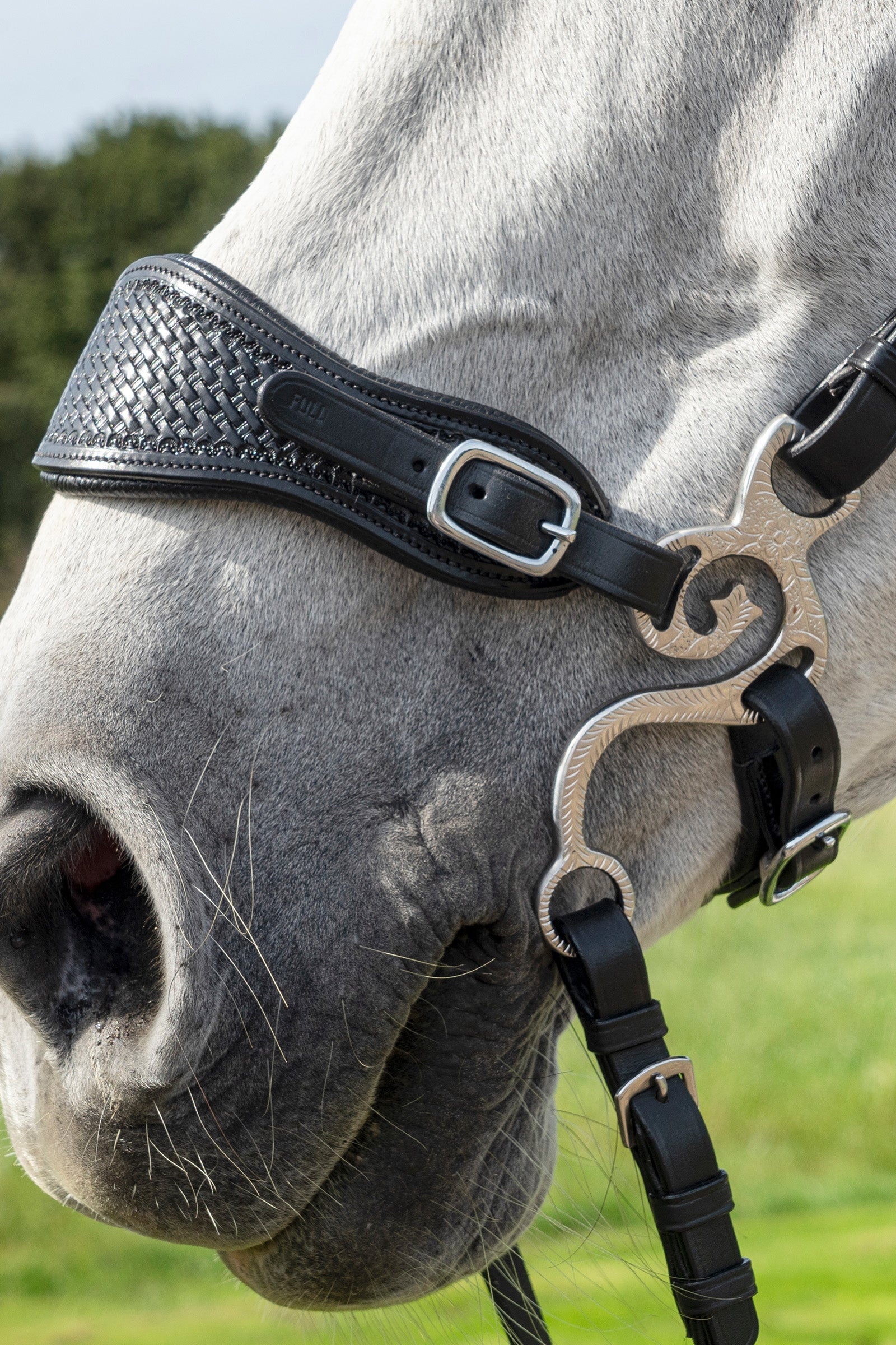 F.R.A. Freedom Riding Articles Fiore Hackamore (System 2) Horse Bits