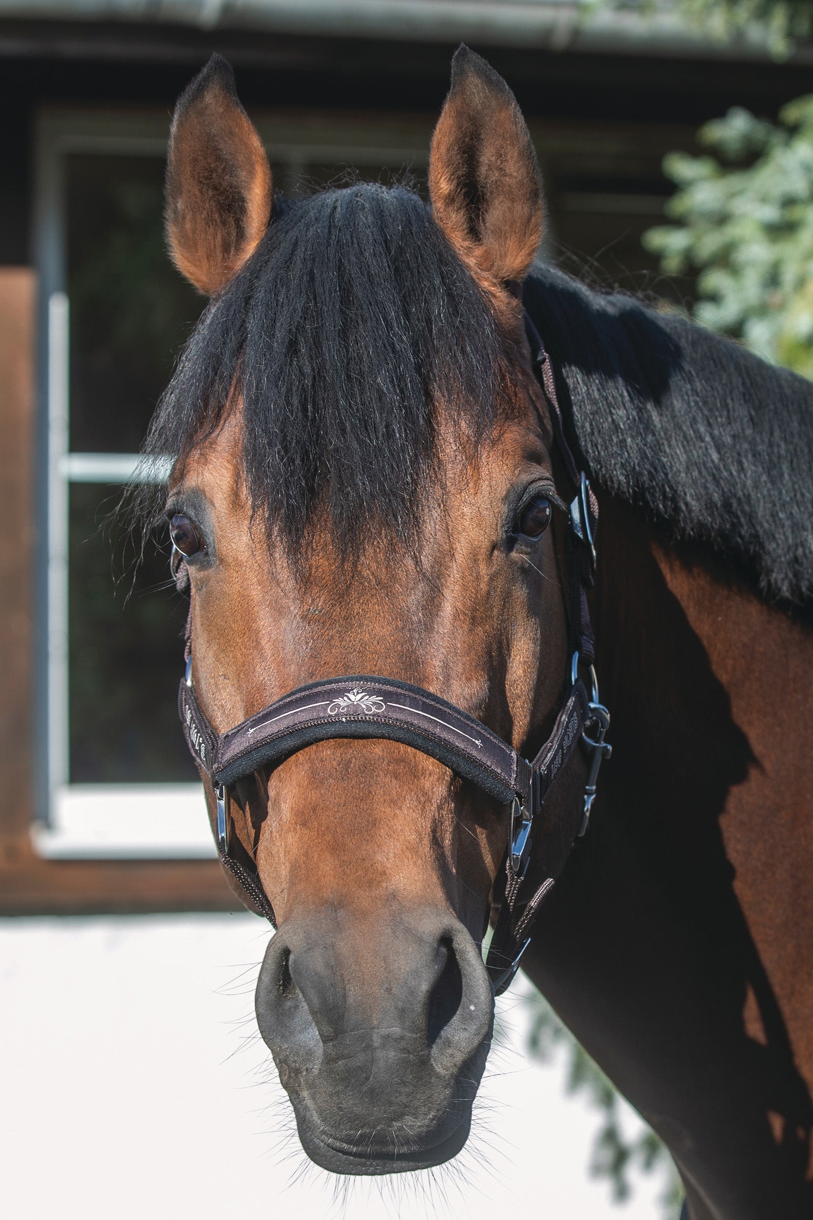 USG Rosi Kantar Kantary i uwiązy