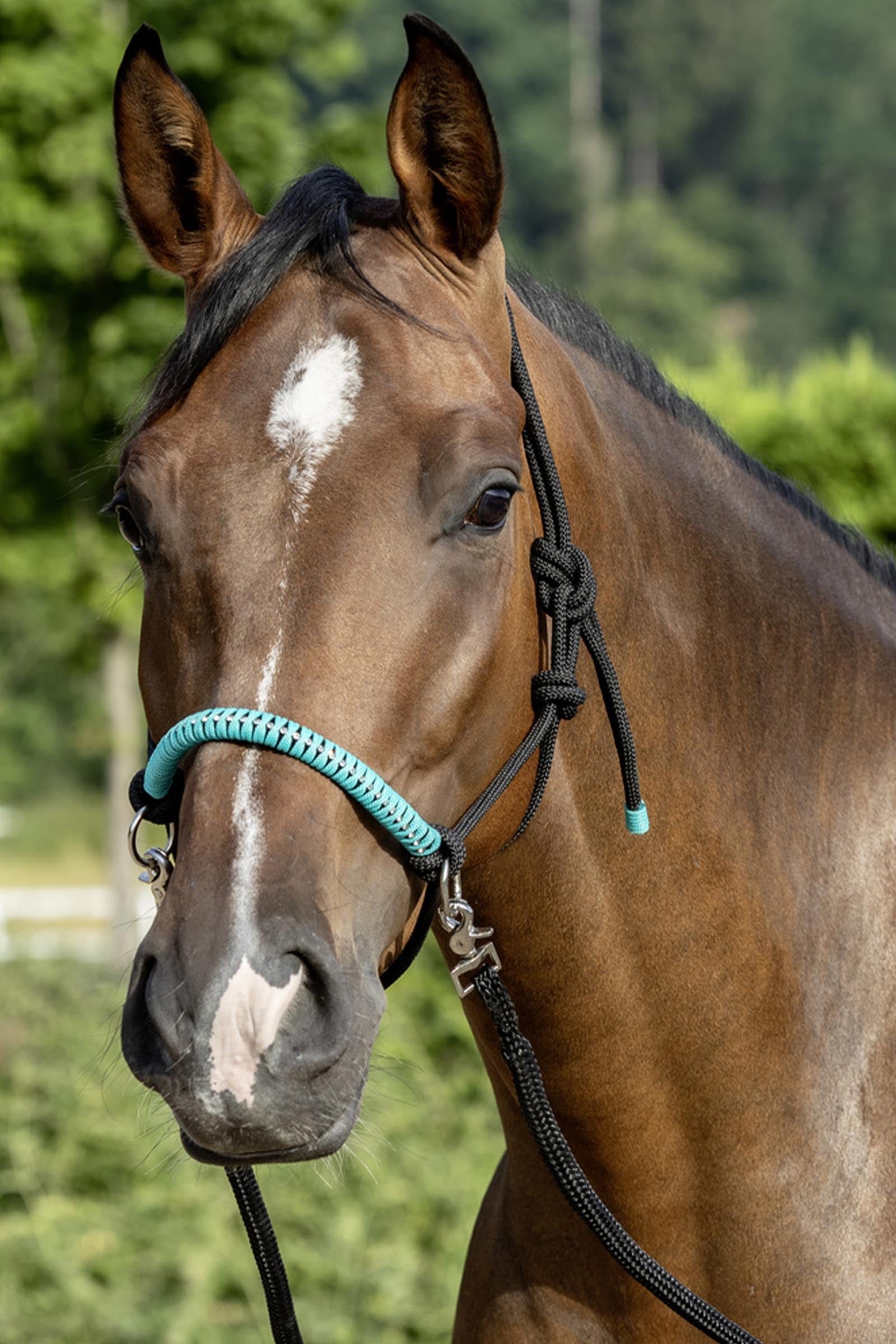 USG Knotted Rope Halter With Reins Halters & Leads