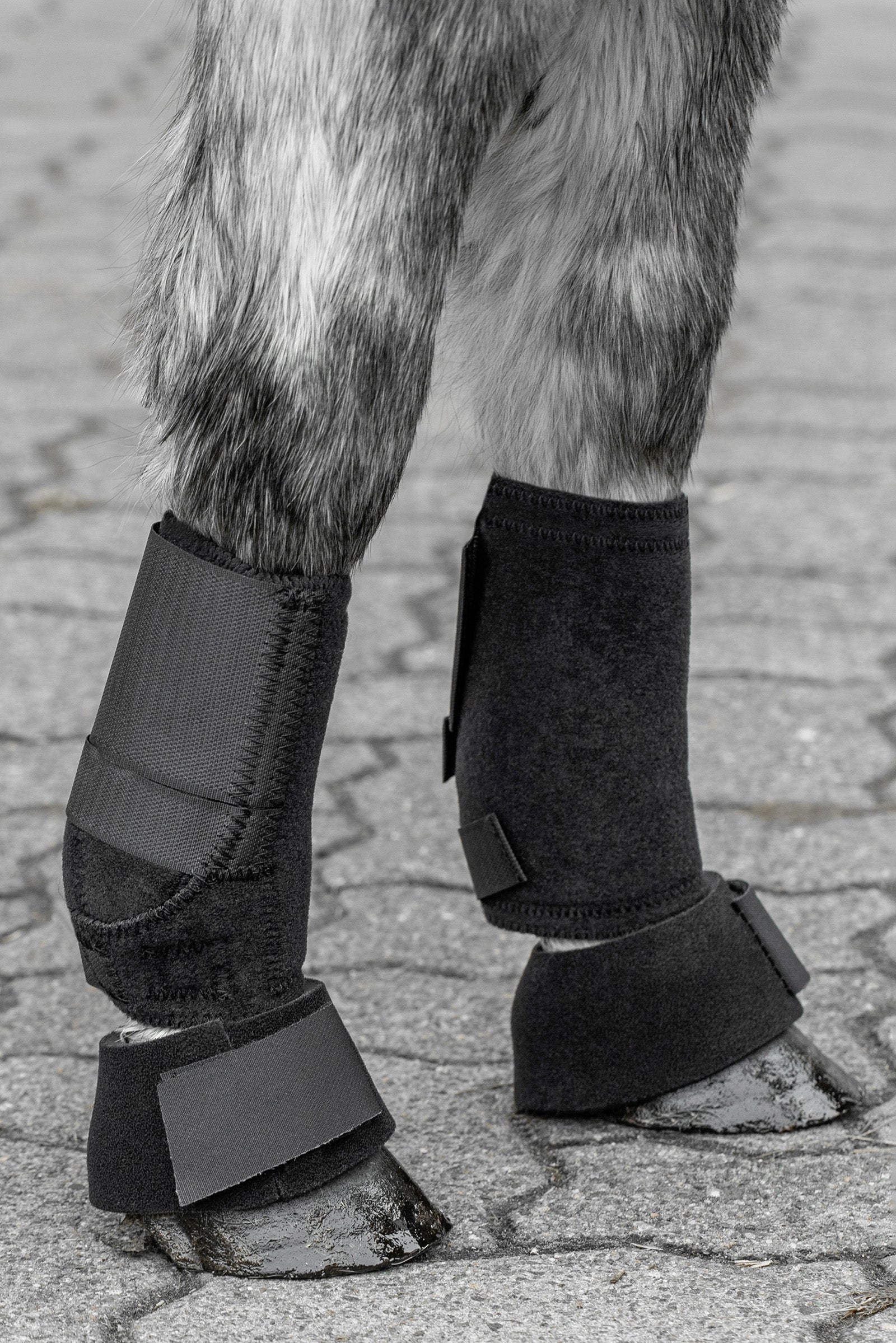 USG Shetty Ochraniacze treningowe dla kuca Leg Protection & Hoof Protection for Horses