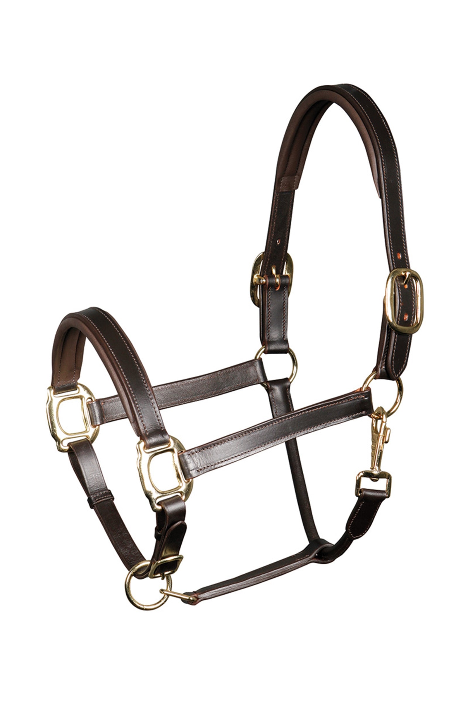 Harry's Horse Wyściełany skórzany kołnierz Kantary i uwiązy