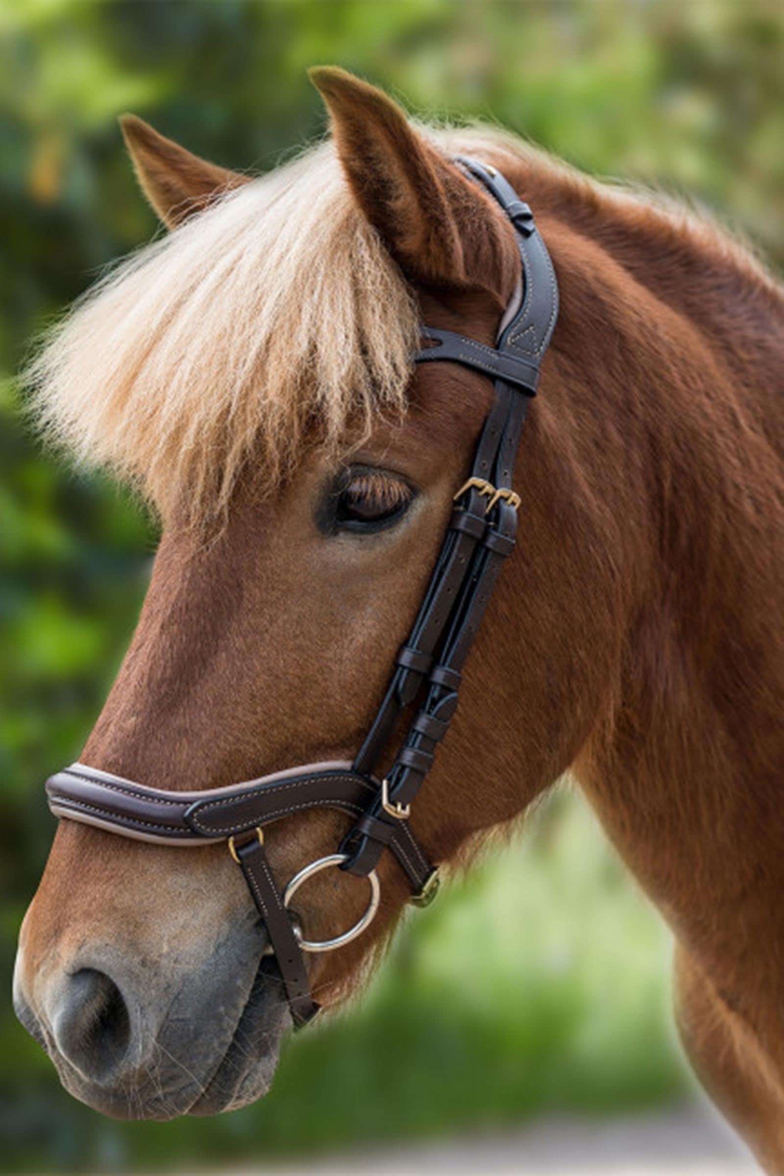 Waldhausen Anatomical Icelandic Bridle Bridles & Reins