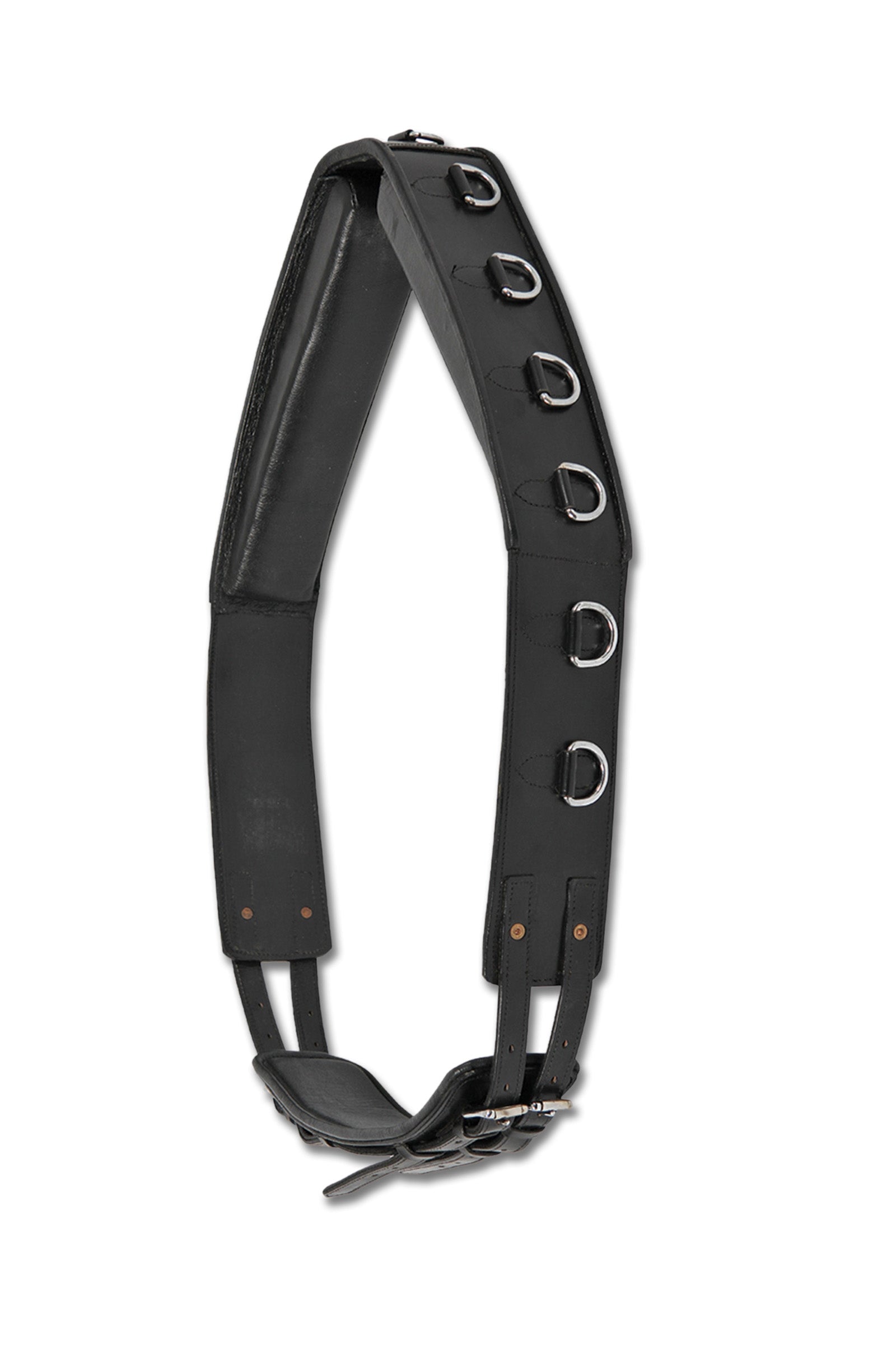 Waldhausen Pas biodrowy , skórzany Sprzęt do lonżowania i pomoce jeździeckie