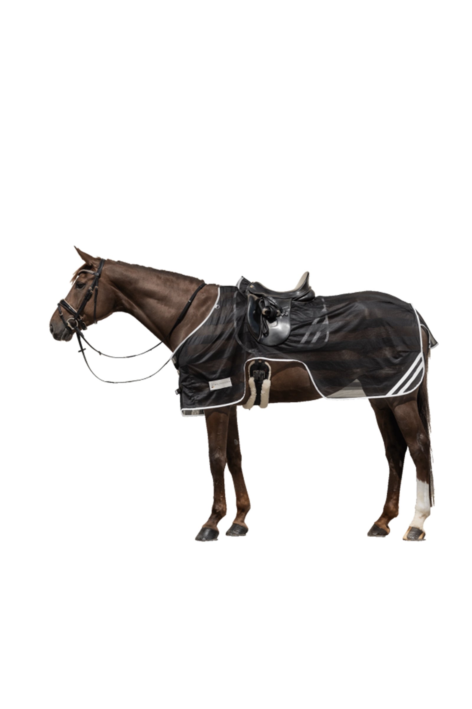 Waldhausen Reflex Exercise Sheet Horse Rugs