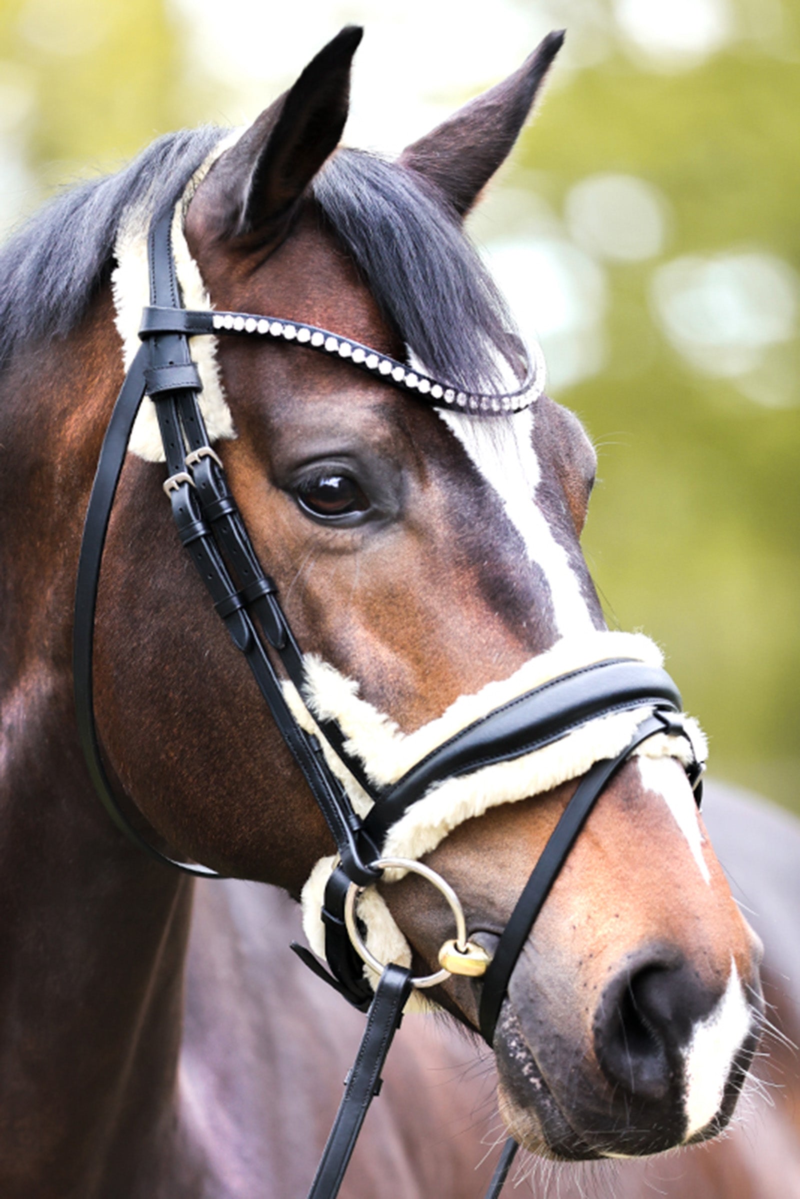 Kavalkade Joyce KavalSH4 Bridle Ogłowia i wodze