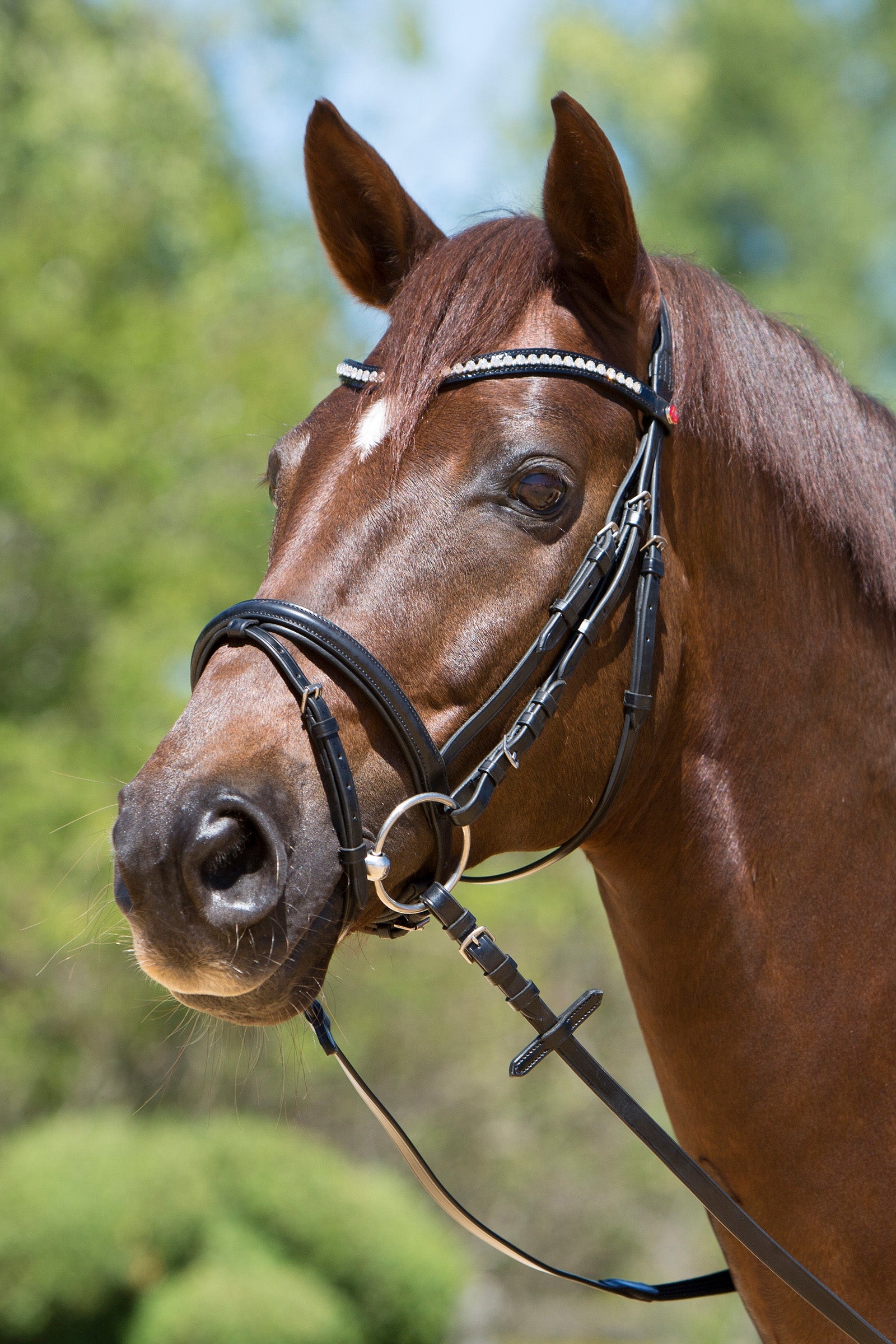 Kieffer Lea Bridle Bridles & Reins