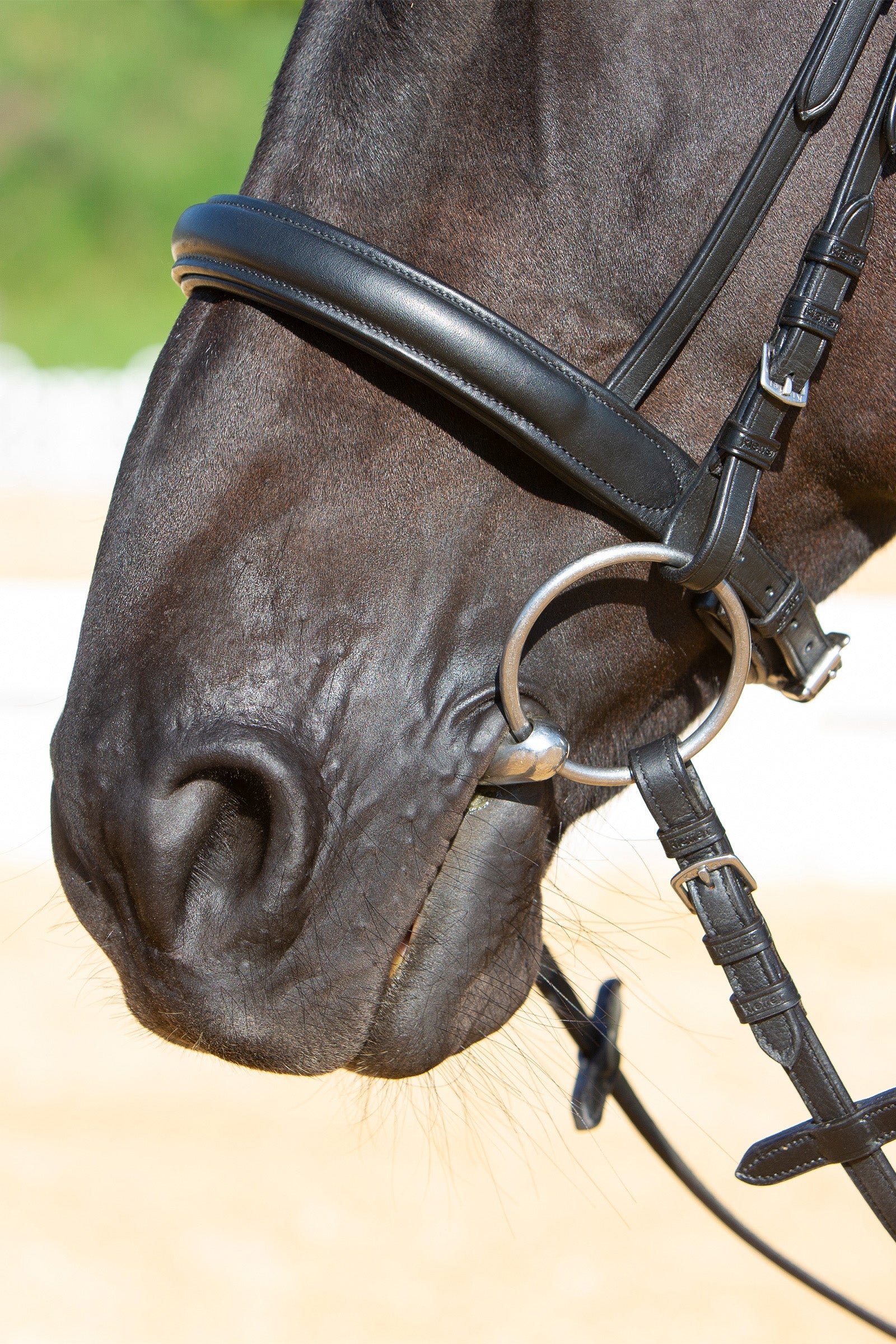 Kieffer Ultrasoft® Sue Bridle Bridles & Reins