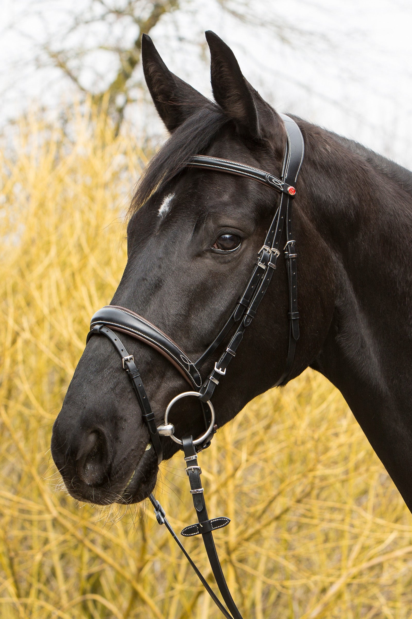 Kieffer Vera Bridle Bridles & Reins