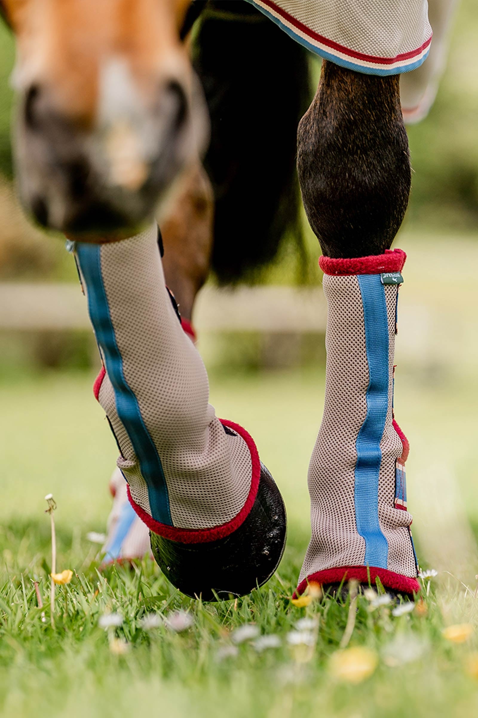 Horseware Fly Boots Leg Protection & Hoof Protection for Horses