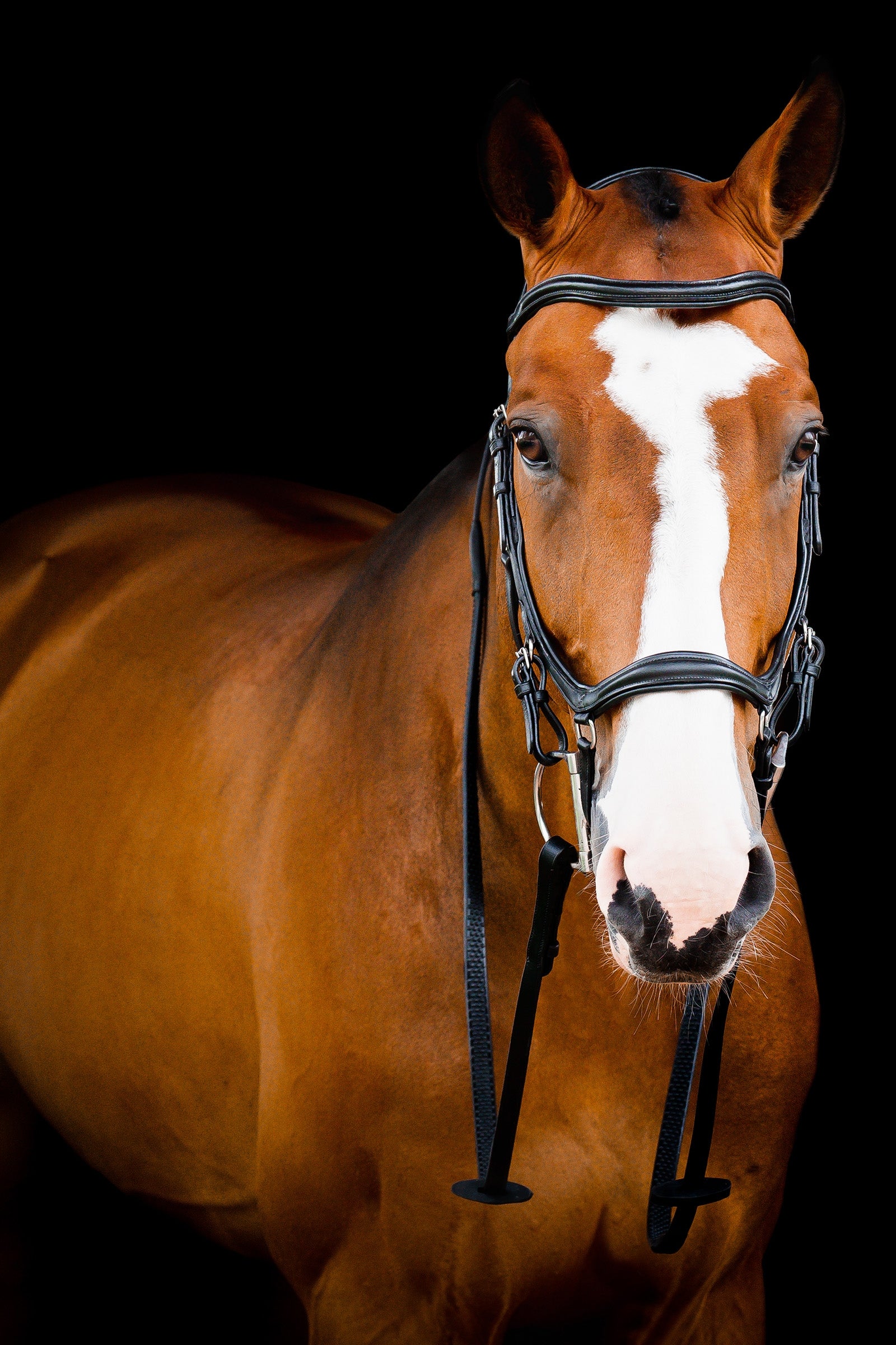 Horseware Micklem 2 Deluxe Competition Ogłowie Ogłowia i wodze