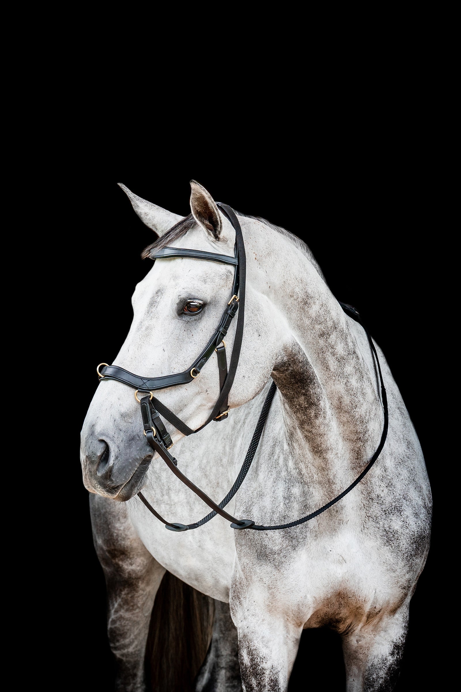 Horseware Micklem 2 Multi Ogłowie Ogłowia i wodze