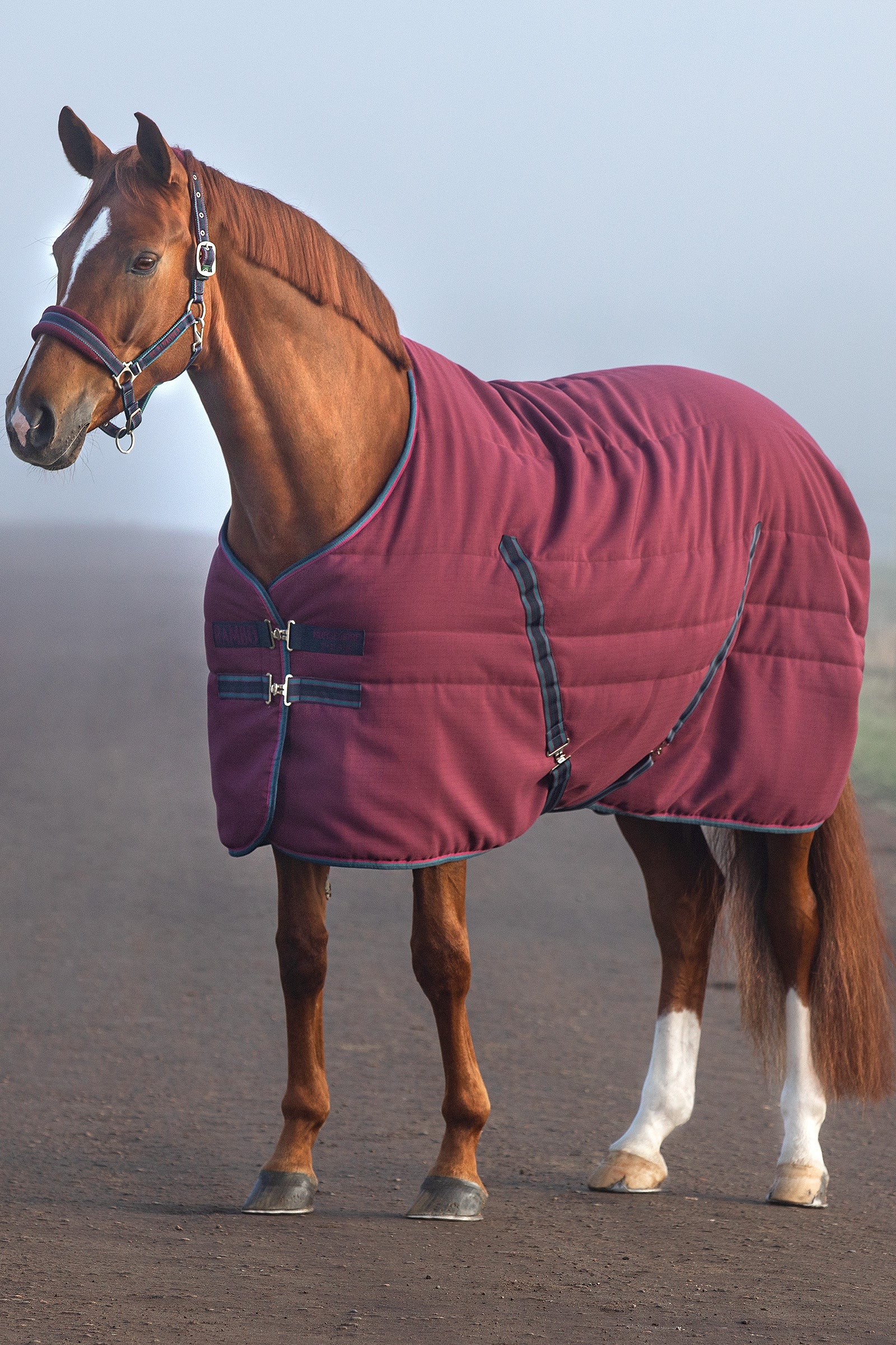 Horseware Rambo Coperta da scuderia con fodera goffrata, 100 gr Derki
