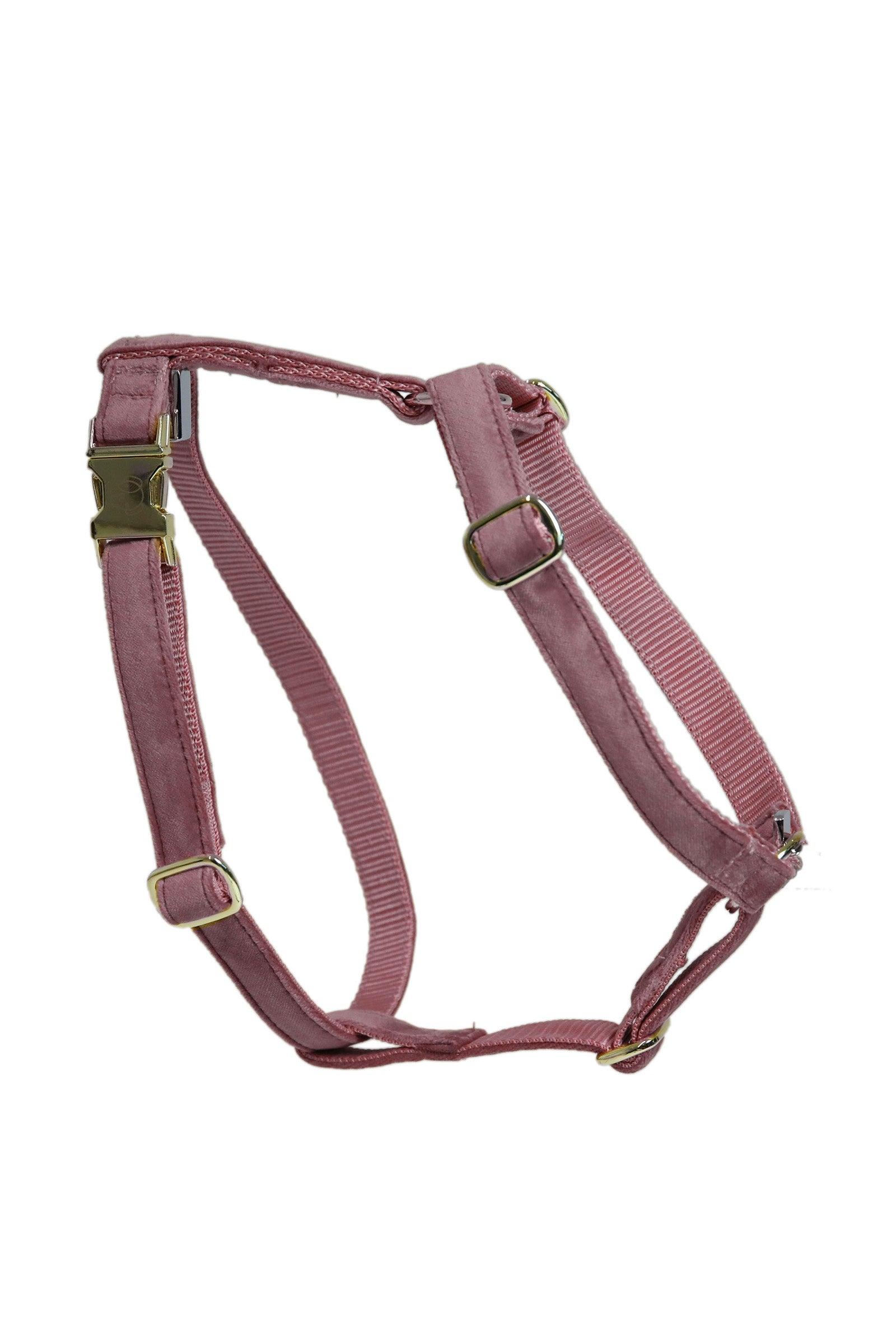Kentucky Dogwear Szelki dla psa Loop Velvet Pies