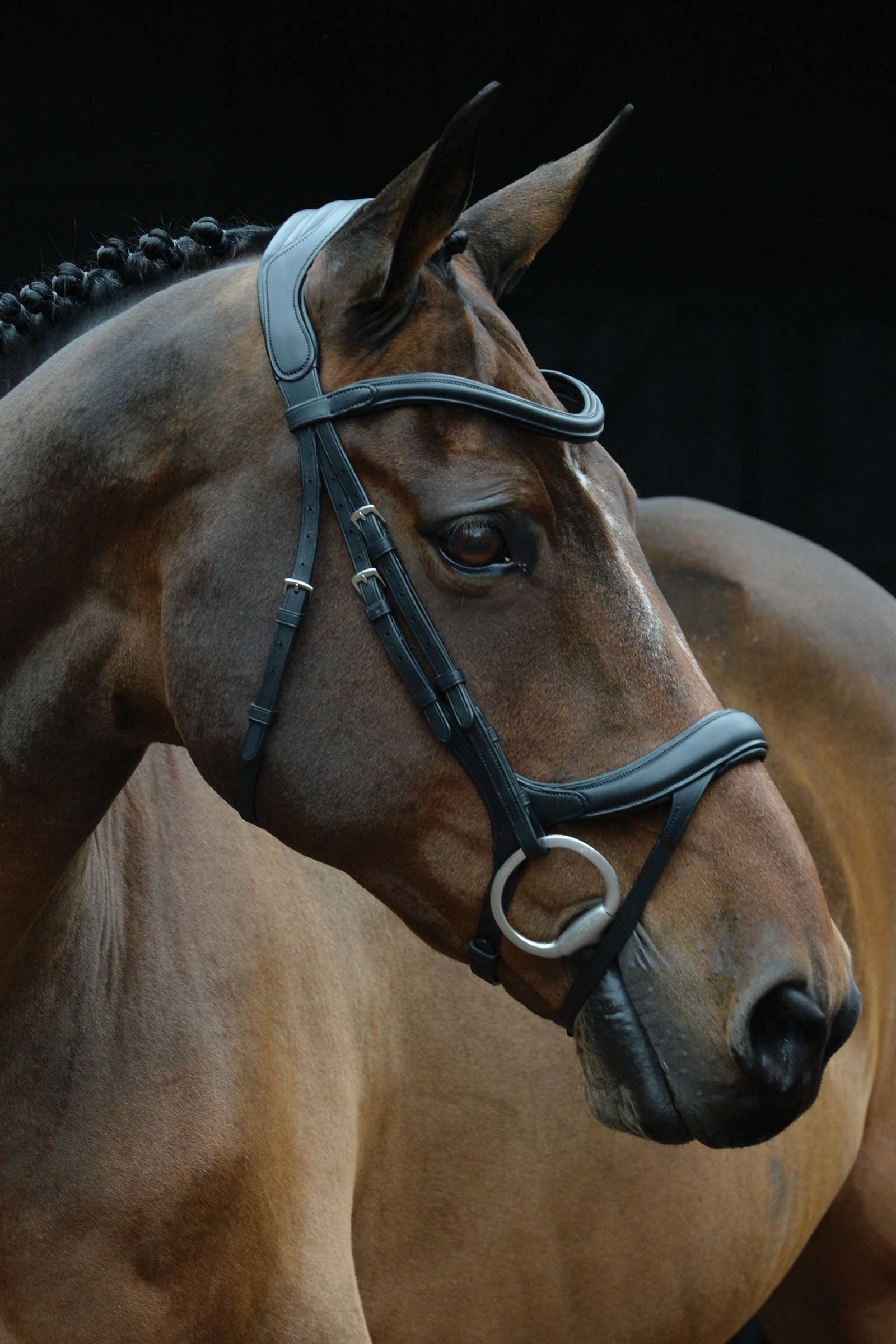 Collegiate Comfitec Vogue Anatomical Bridle Bridles & Reins