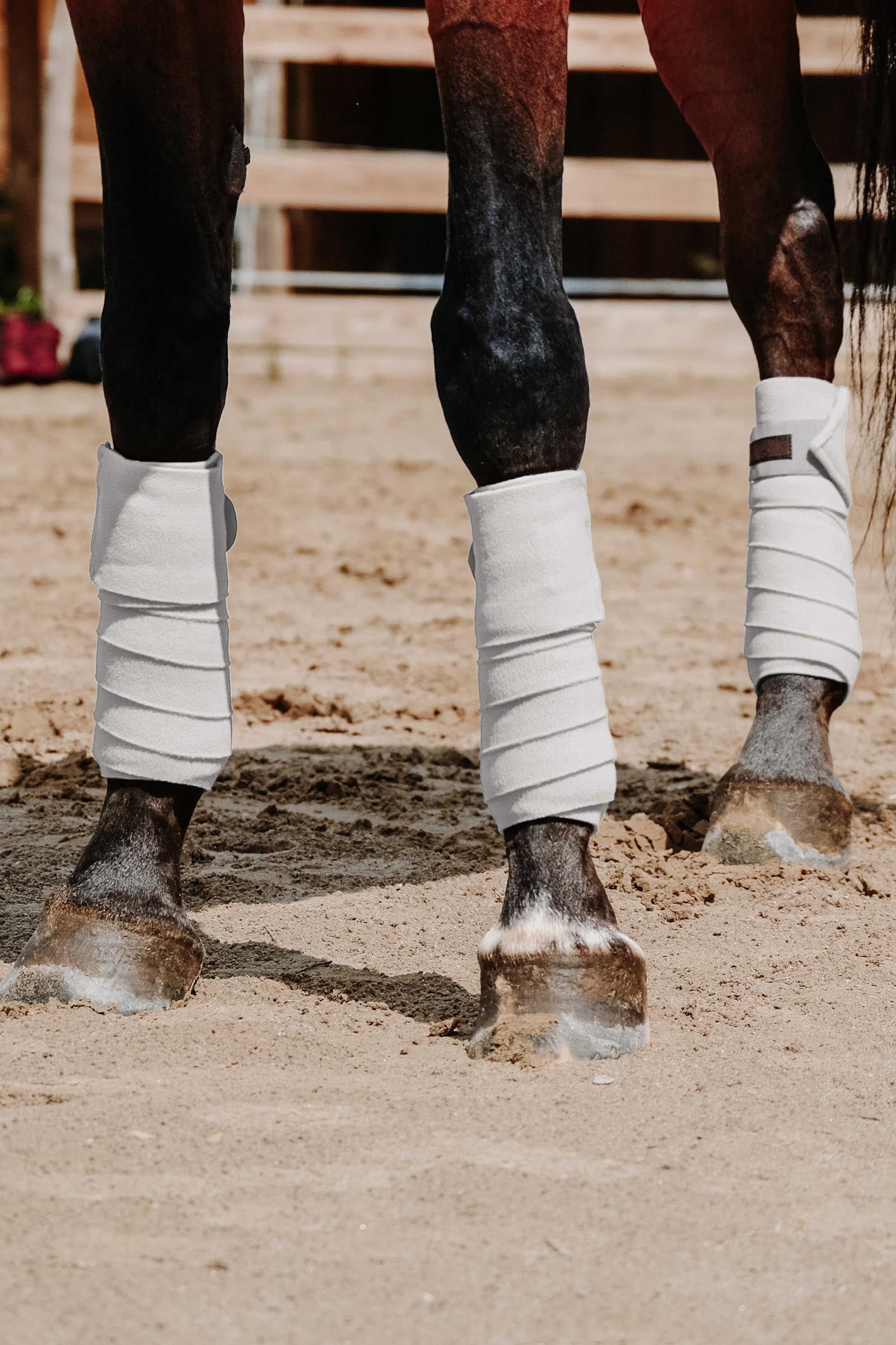 EQUITHÈME Polo Bands (3,0 m) Leg & Hoof Protection