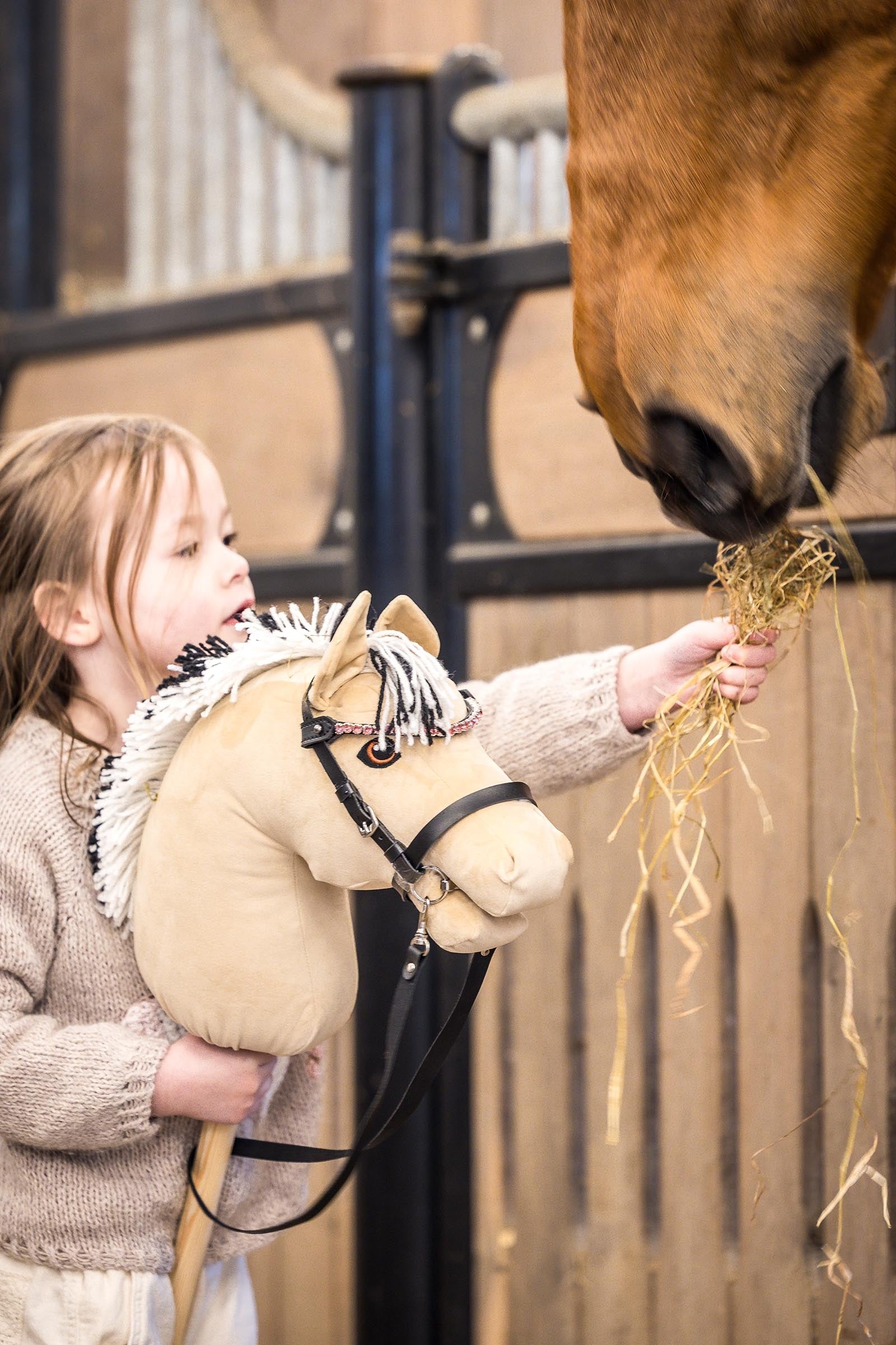 My Hobby Horse Browband Gifts & Toys