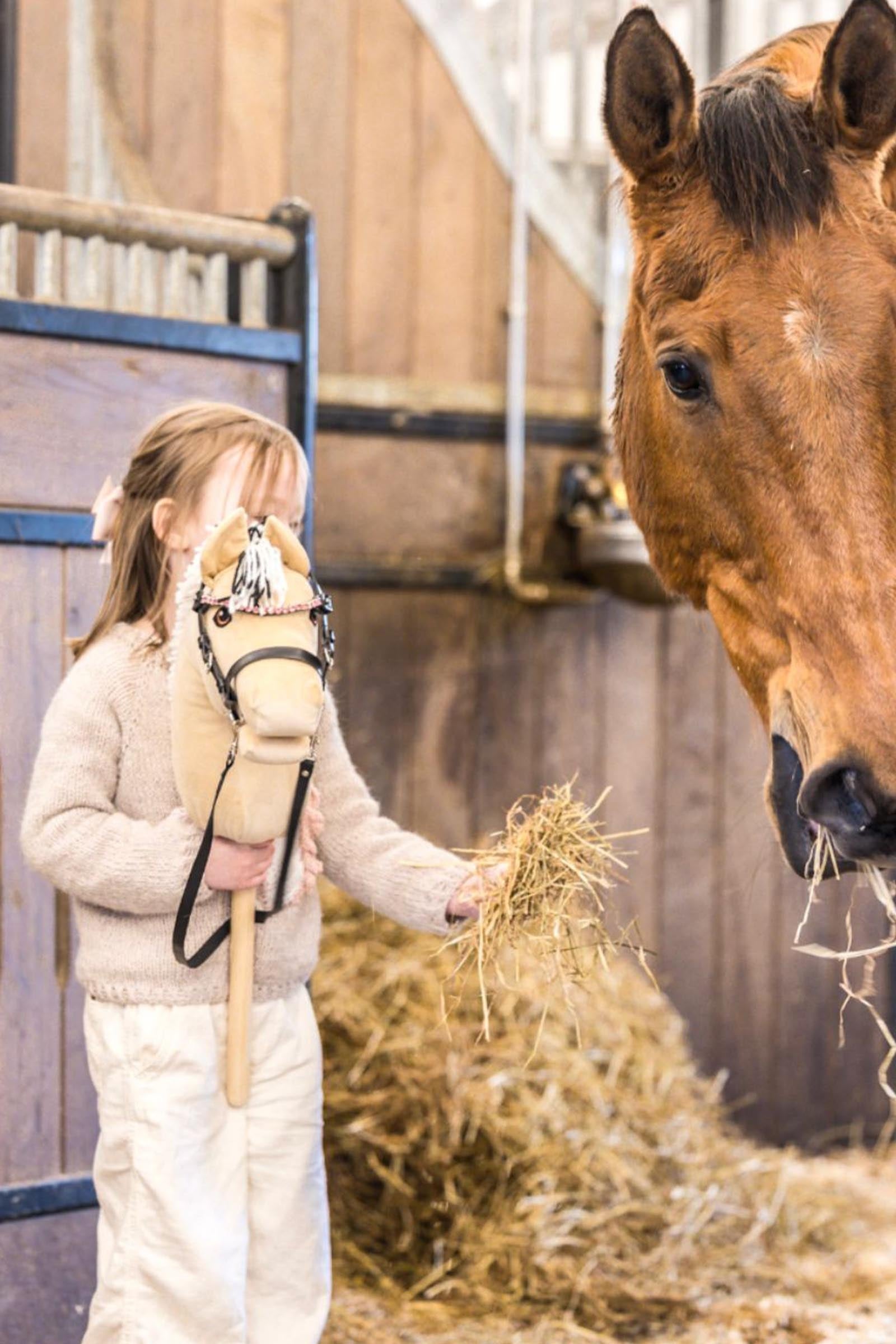 My Hobby Horse Browband Gifts & Toys