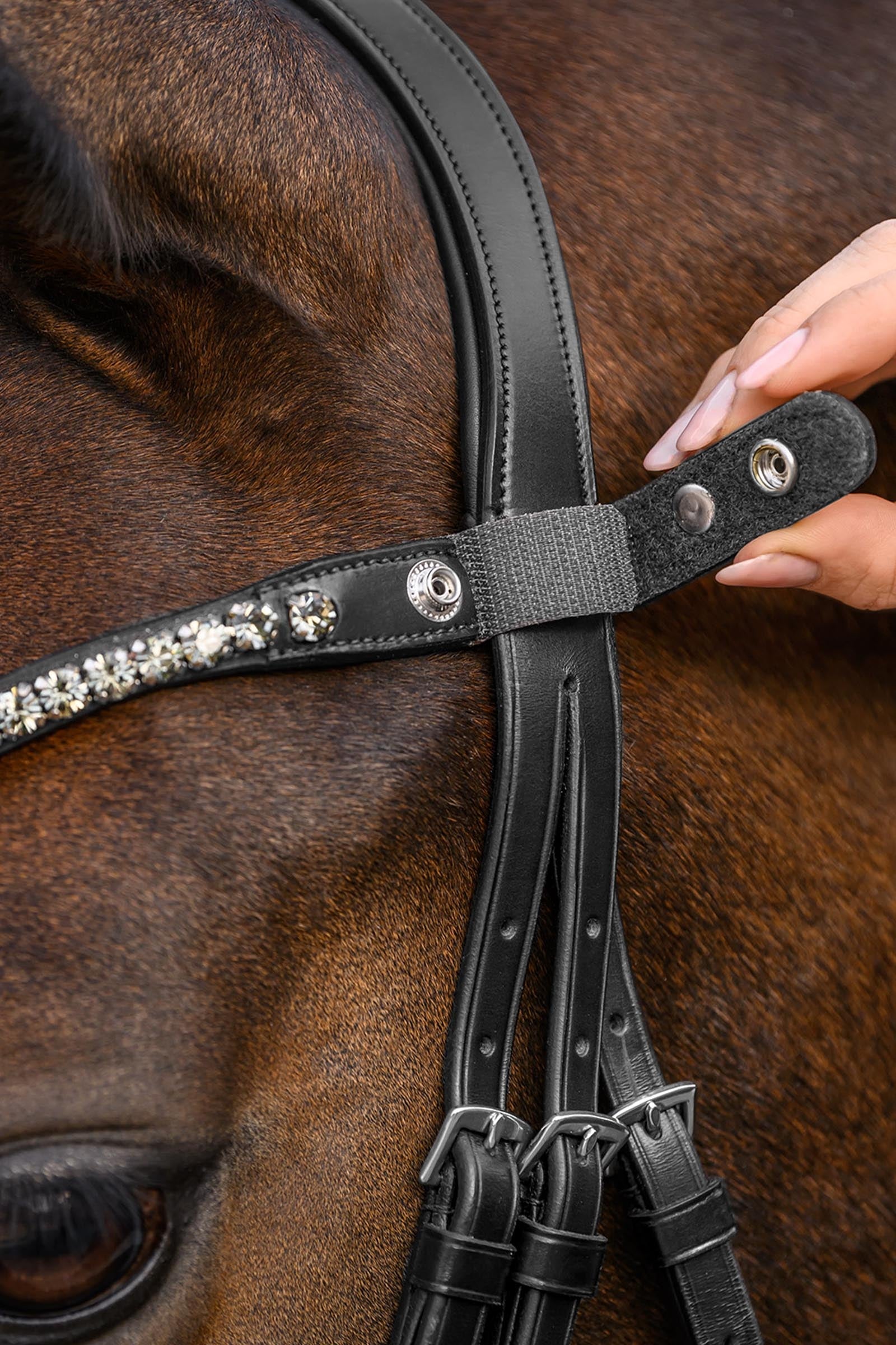 Waldhausen X-Line Shine Browband Bridles & Reins
